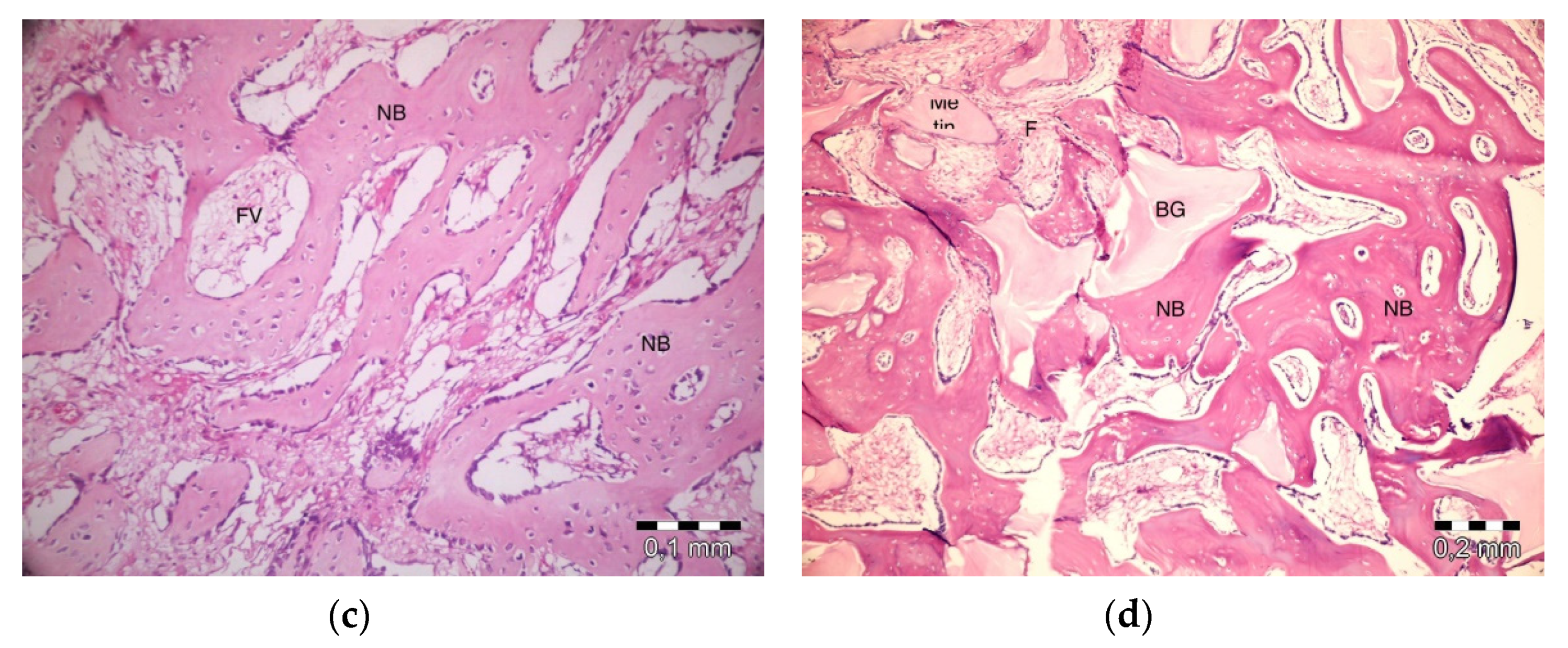Materials 13 01695 g005b Materials 13 01695 g005b