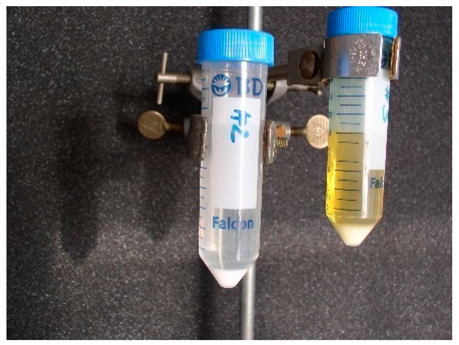 Materials 13 01697 g004