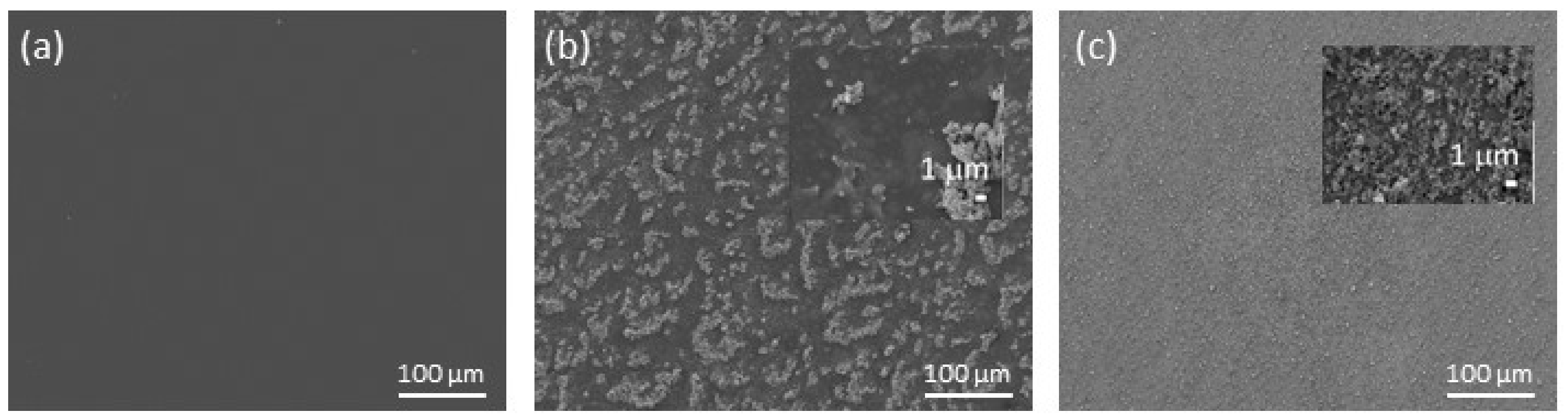 Materials 13 01702 g001 Materials 13 01702 g001