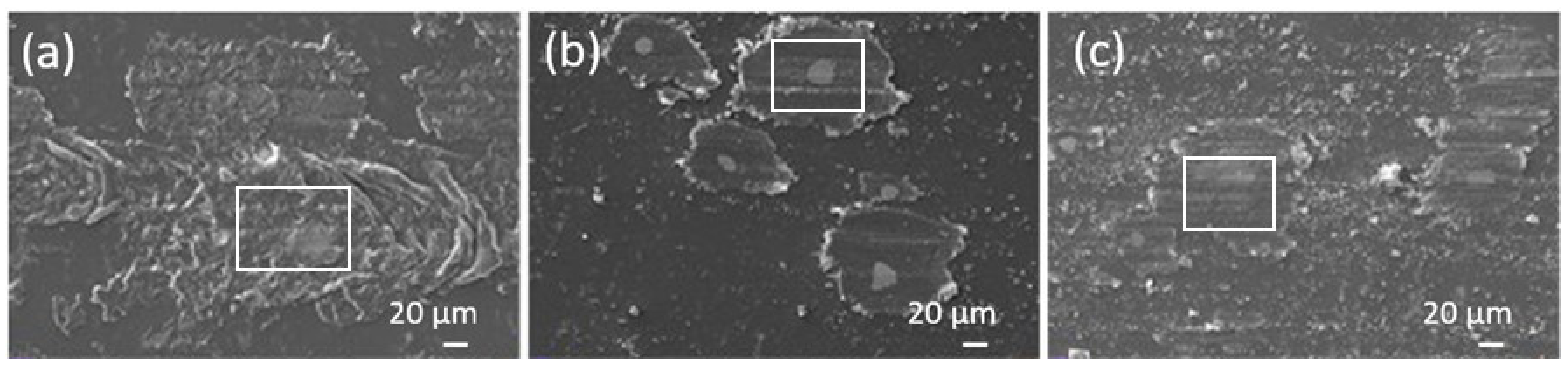 Materials 13 01702 g004 Materials 13 01702 g004