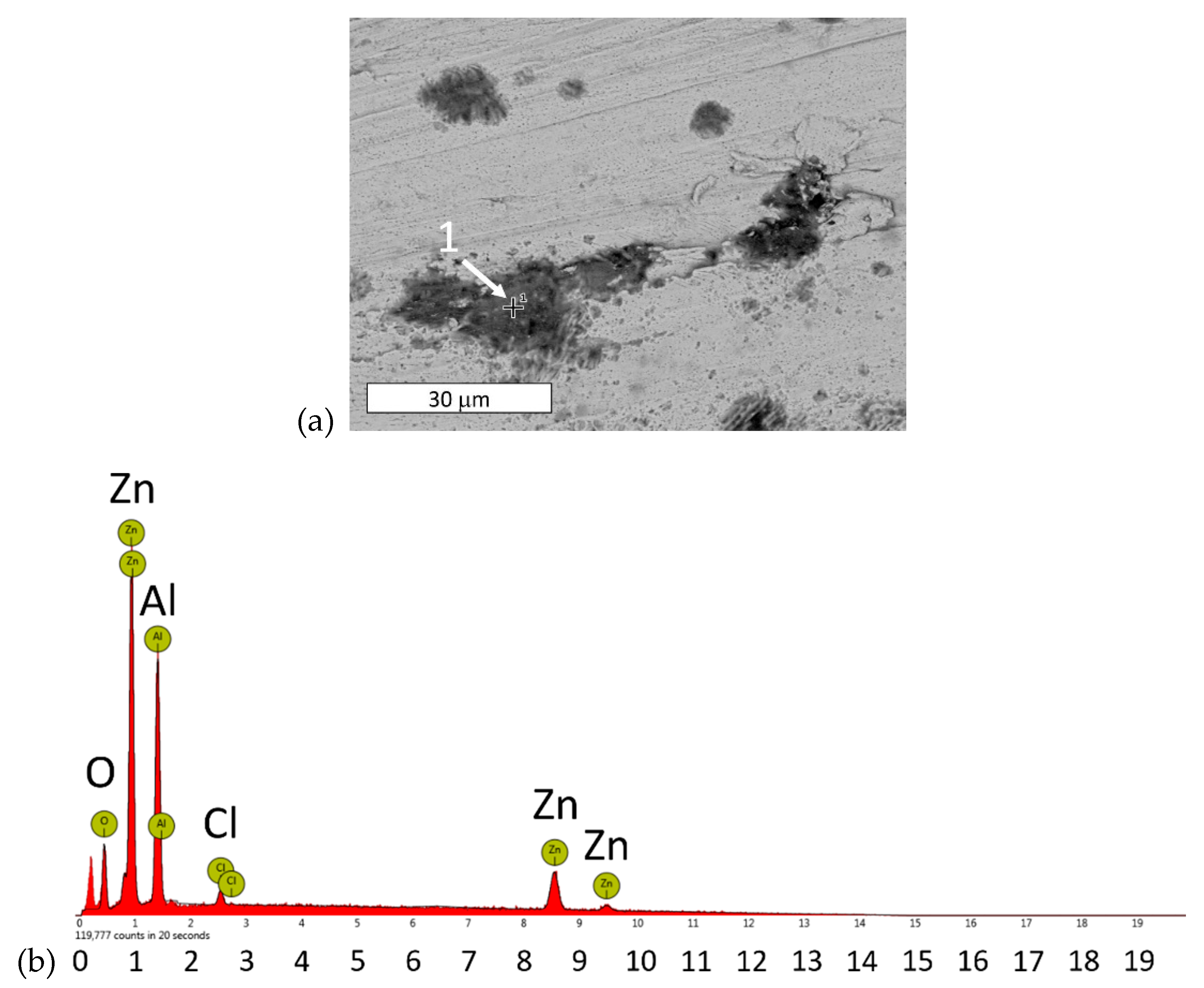 Materials 13 01703 g007