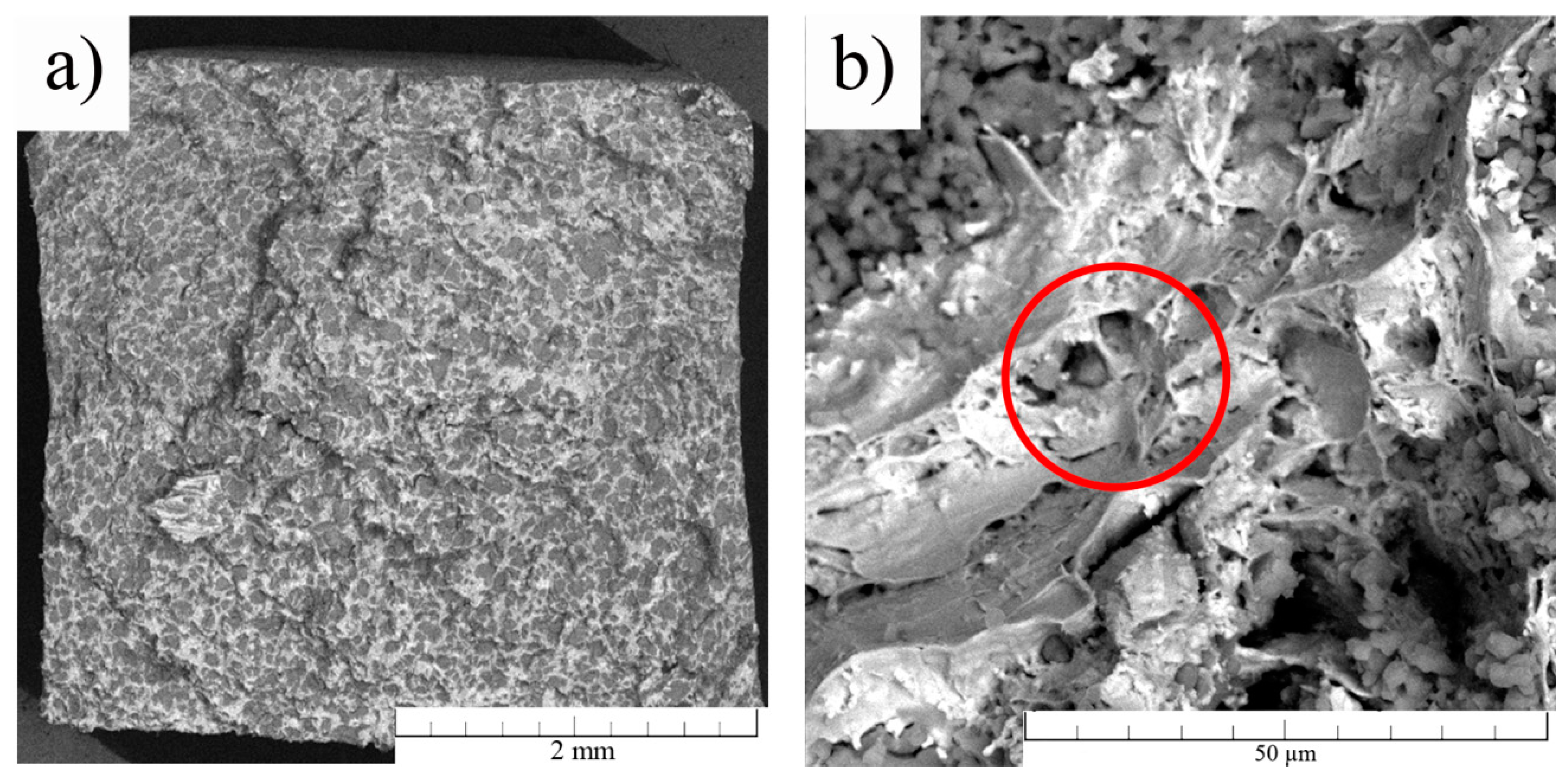 Materials 13 01716 g006 Materials 13 01716 g006