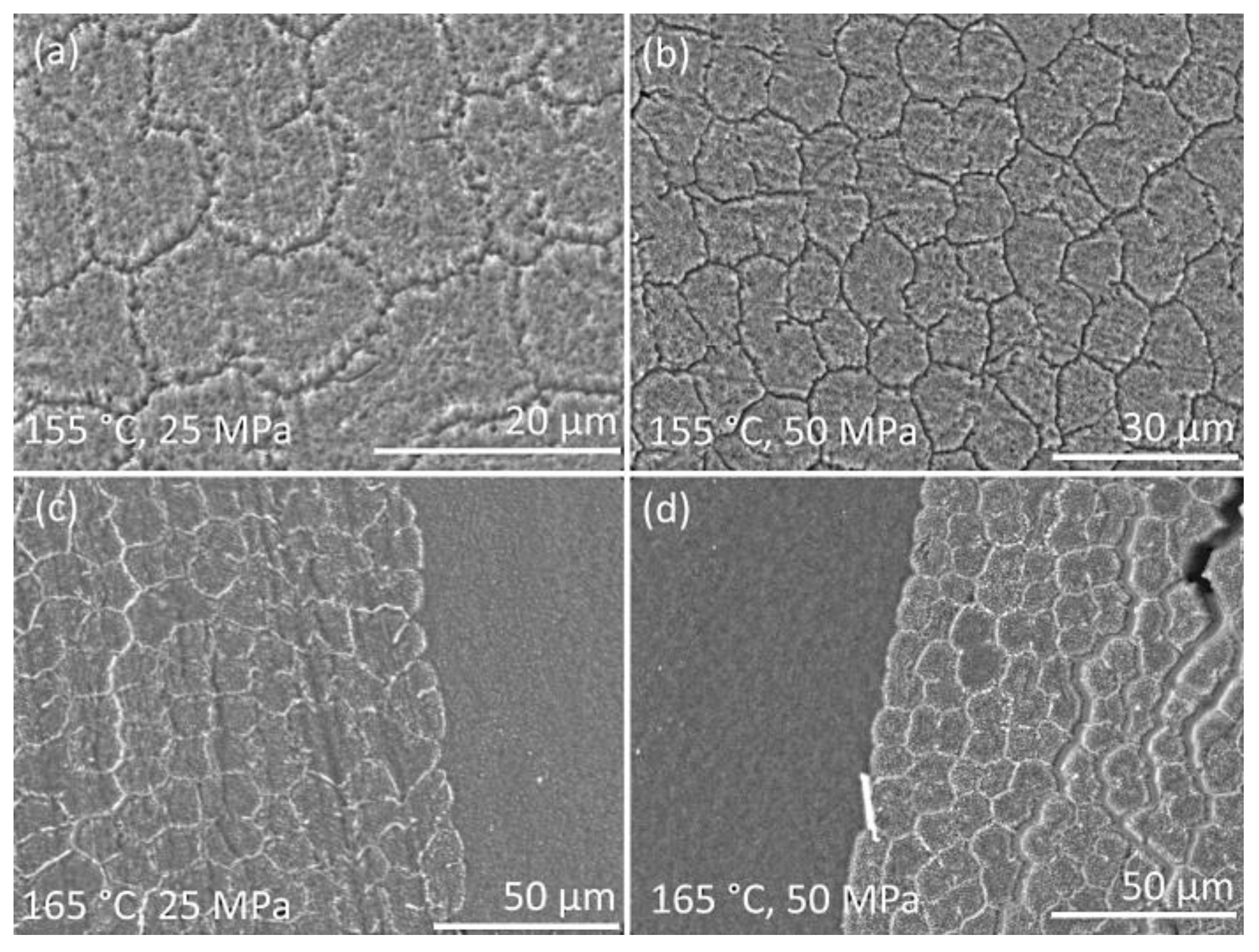 Materials 13 01739 g006