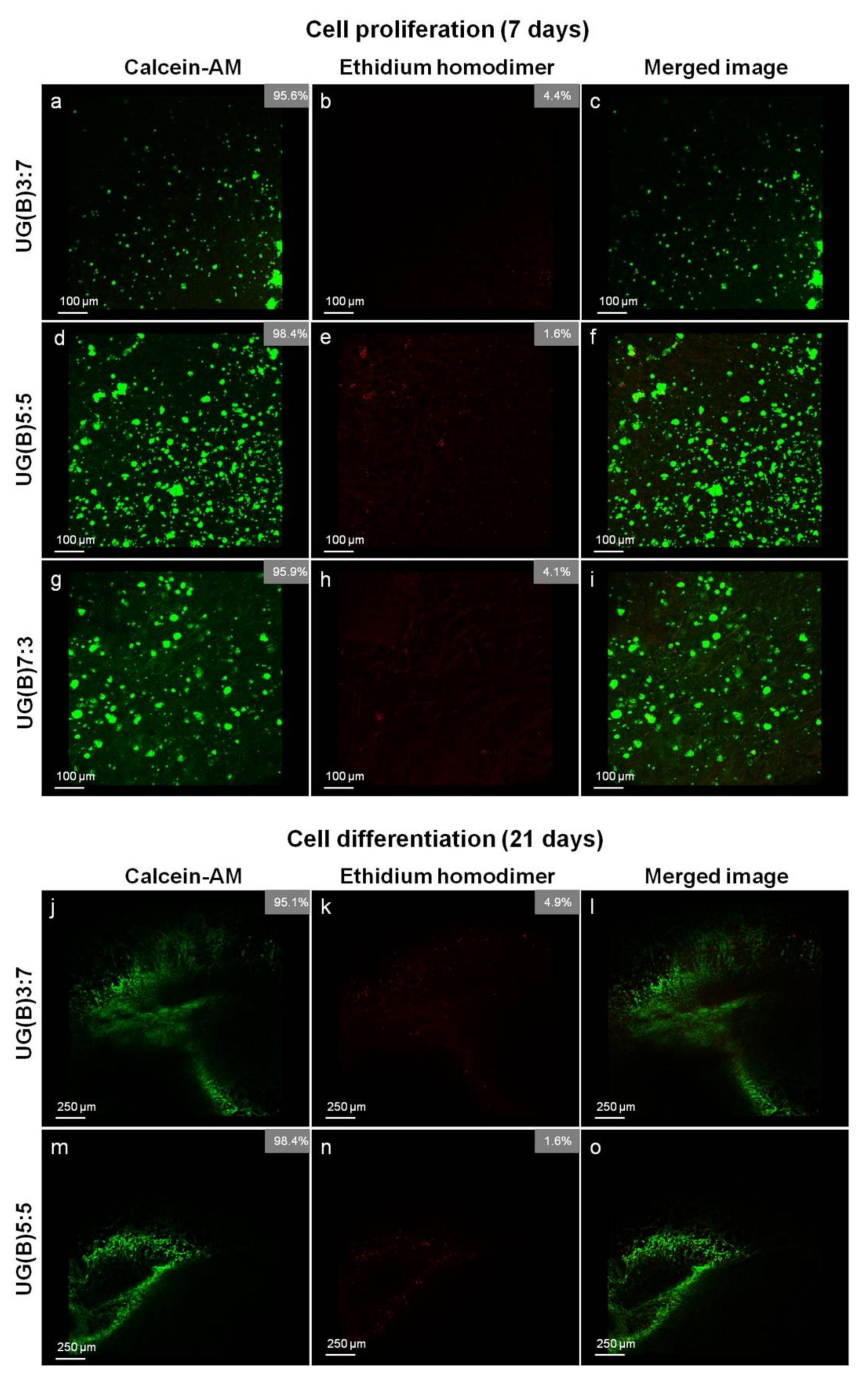 Materials 13 01763 g008 Materials 13 01763 g008