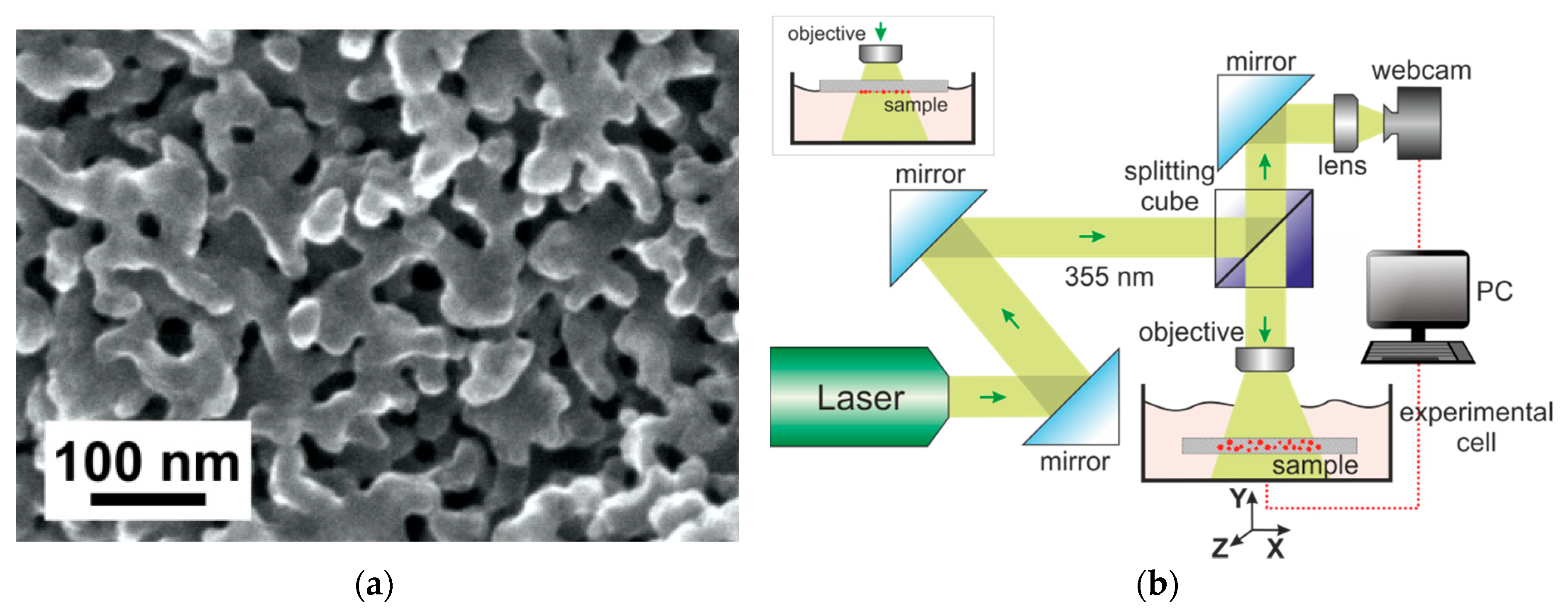 Materials 13 01767 g001