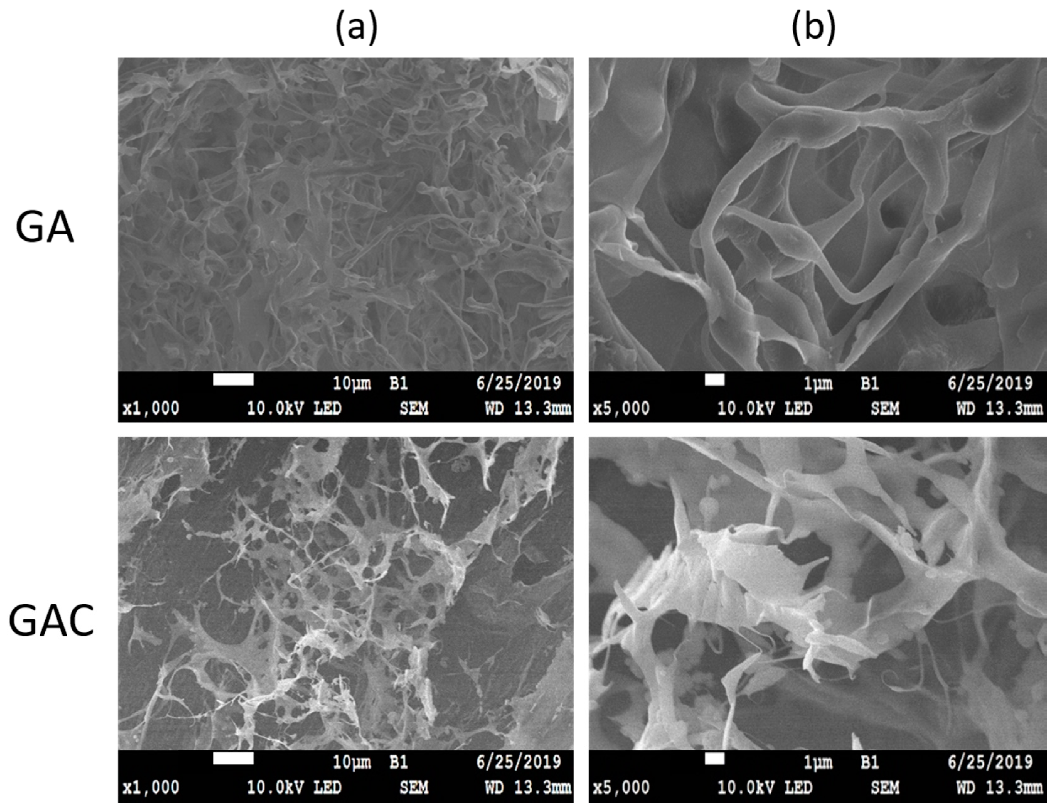 Materials 13 01771 g003