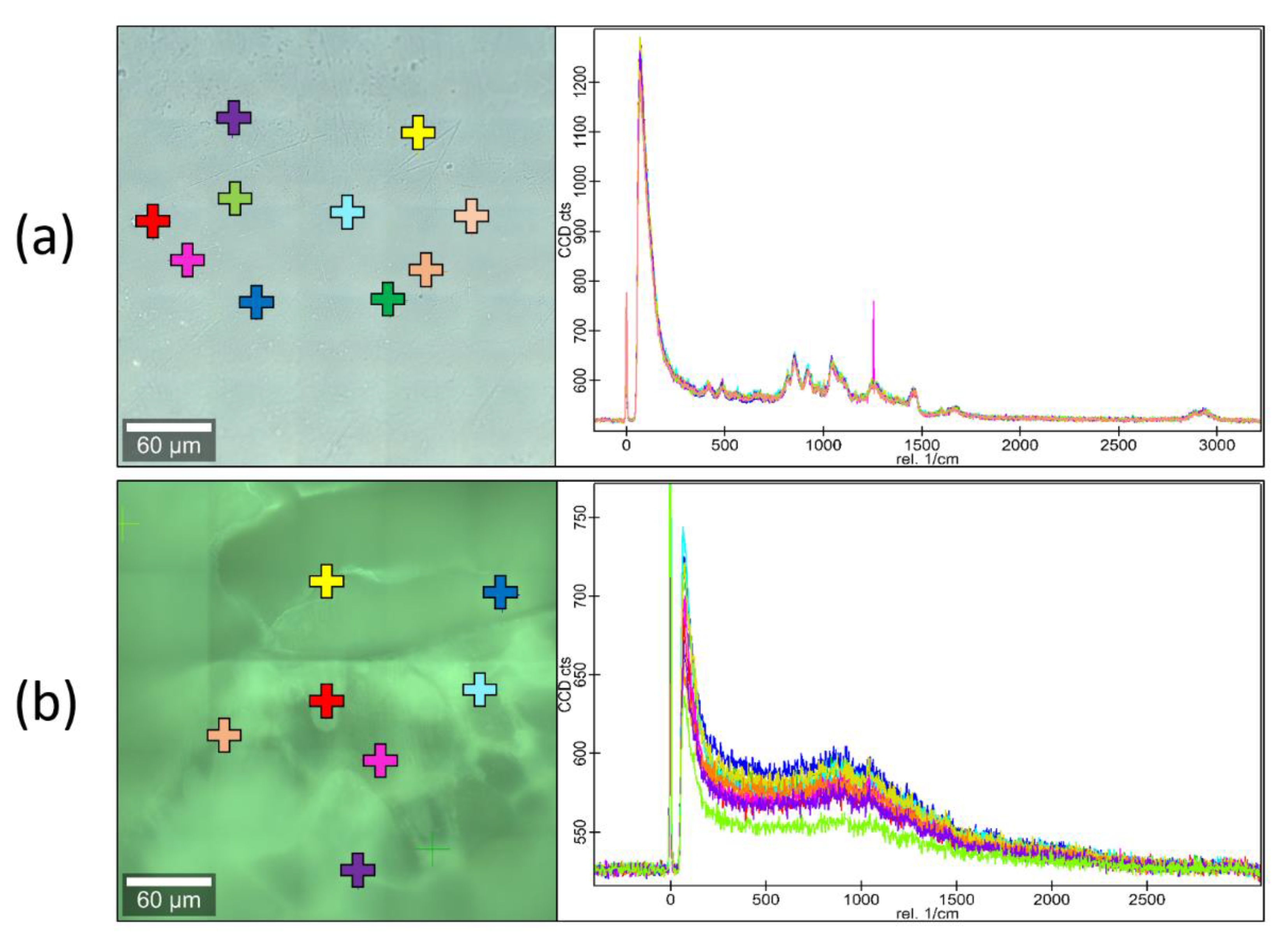 Materials 13 01771 g005