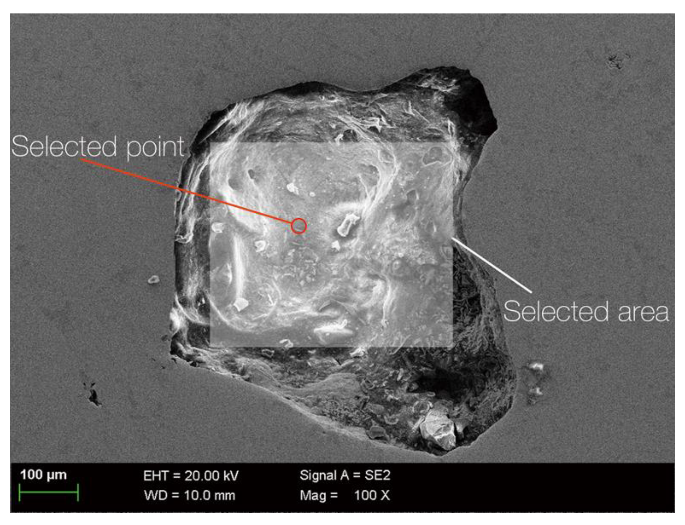 Materials 13 01790 g005 Materials 13 01790 g005