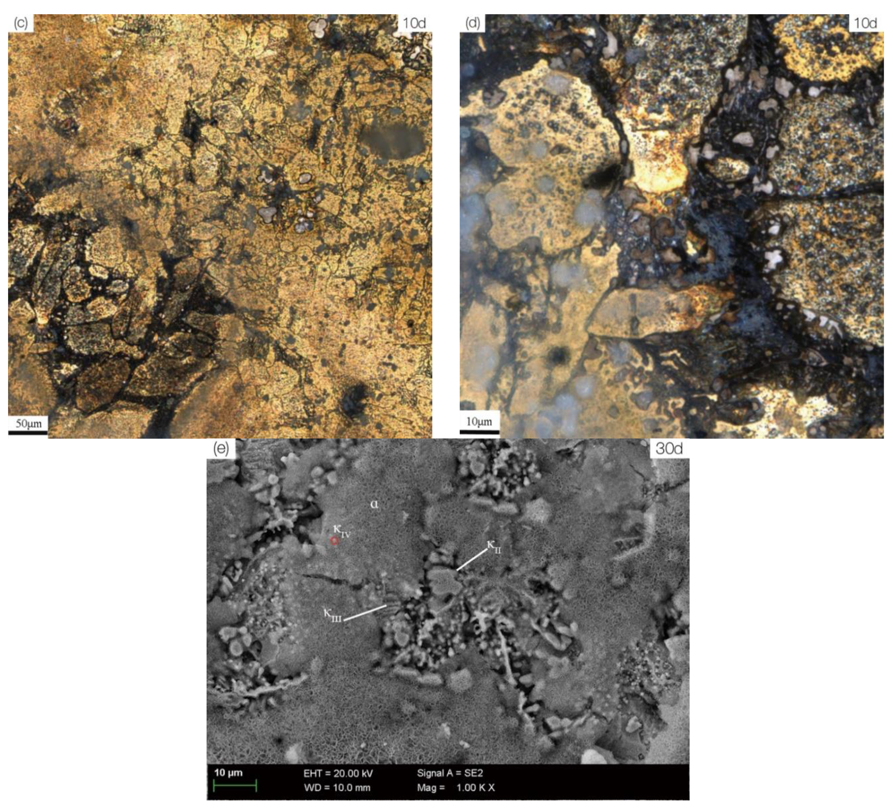 Materials 13 01790 g006b Materials 13 01790 g006b