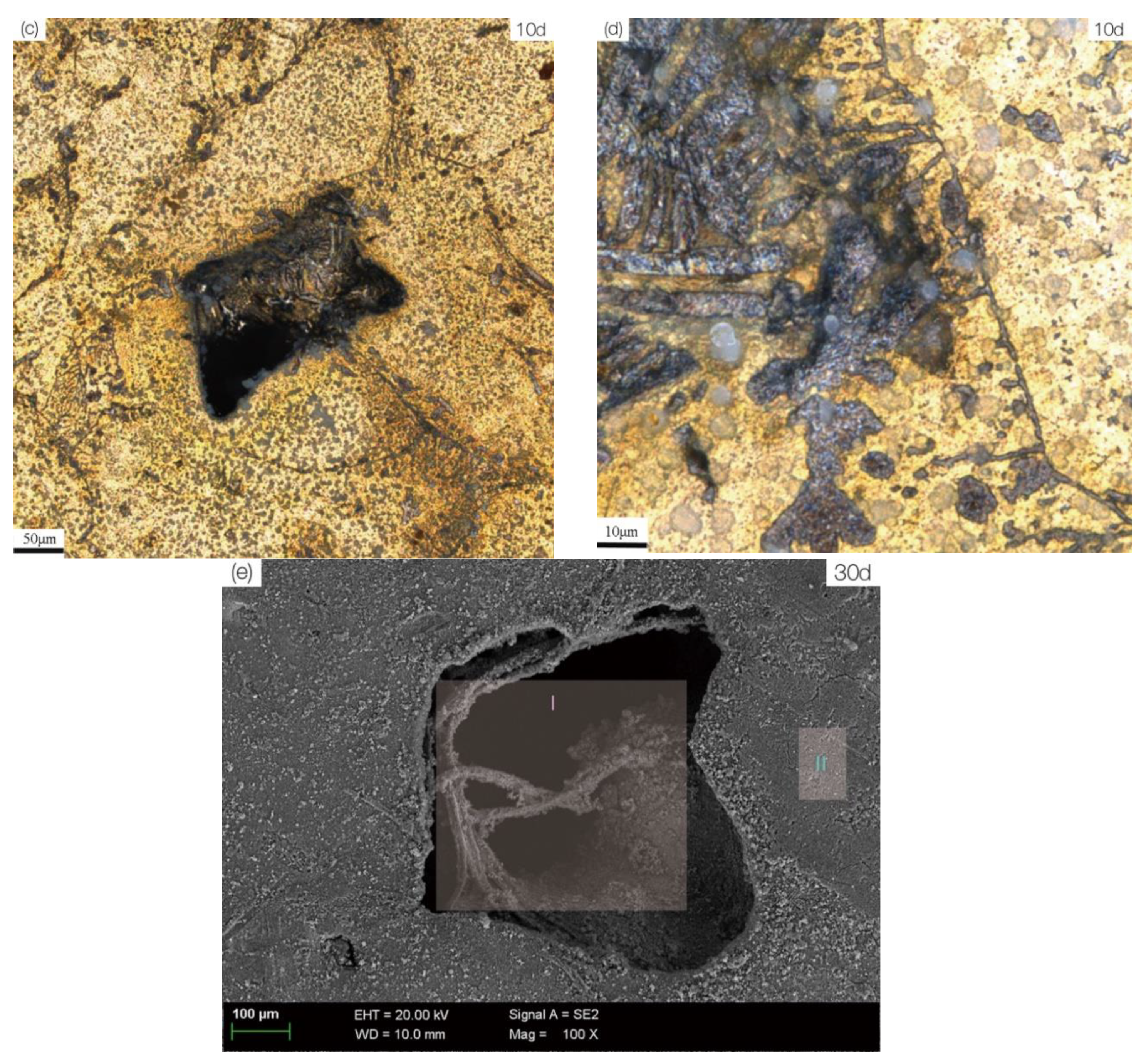 Materials 13 01790 g007b Materials 13 01790 g007b