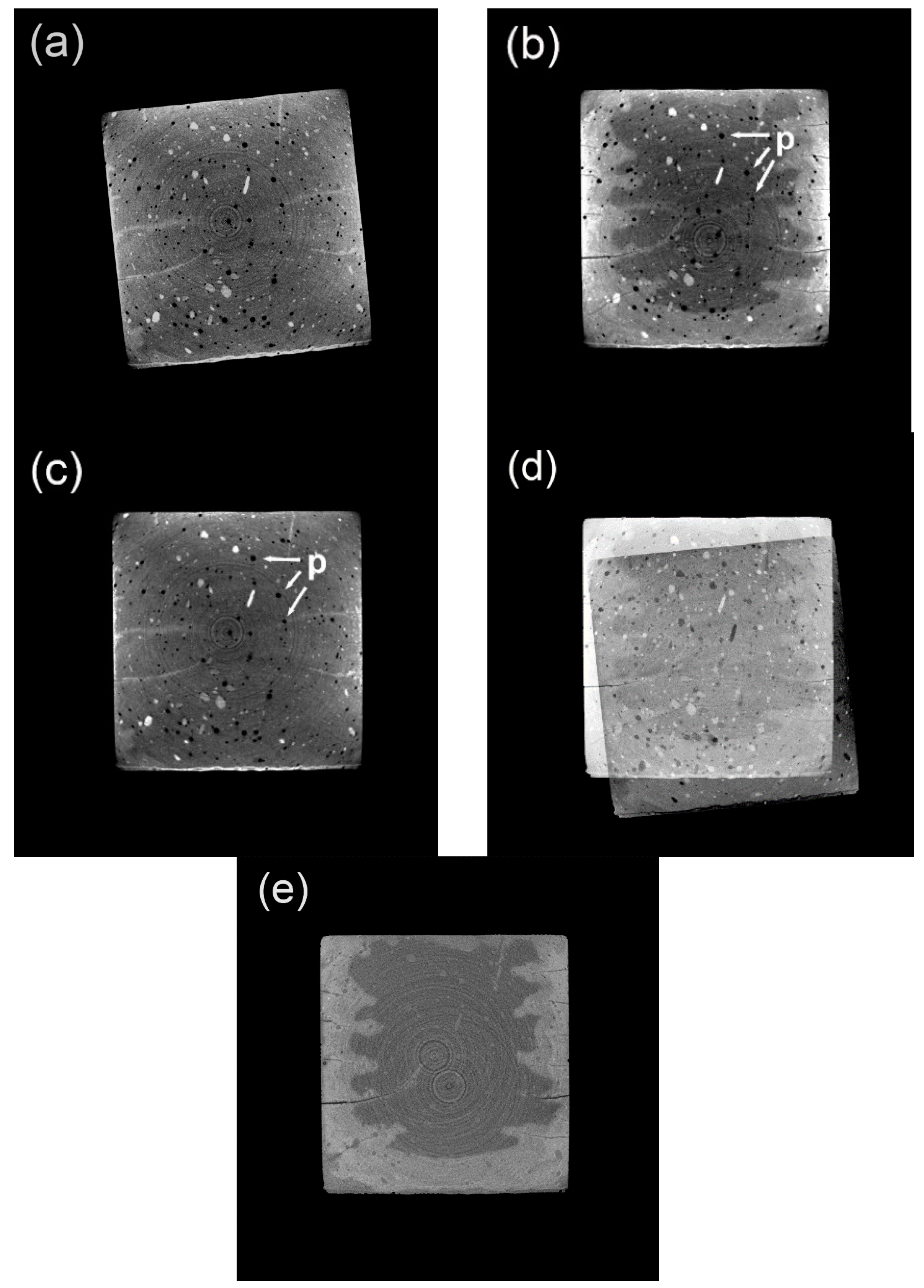 Materials 13 01804 g003 Materials 13 01804 g003
