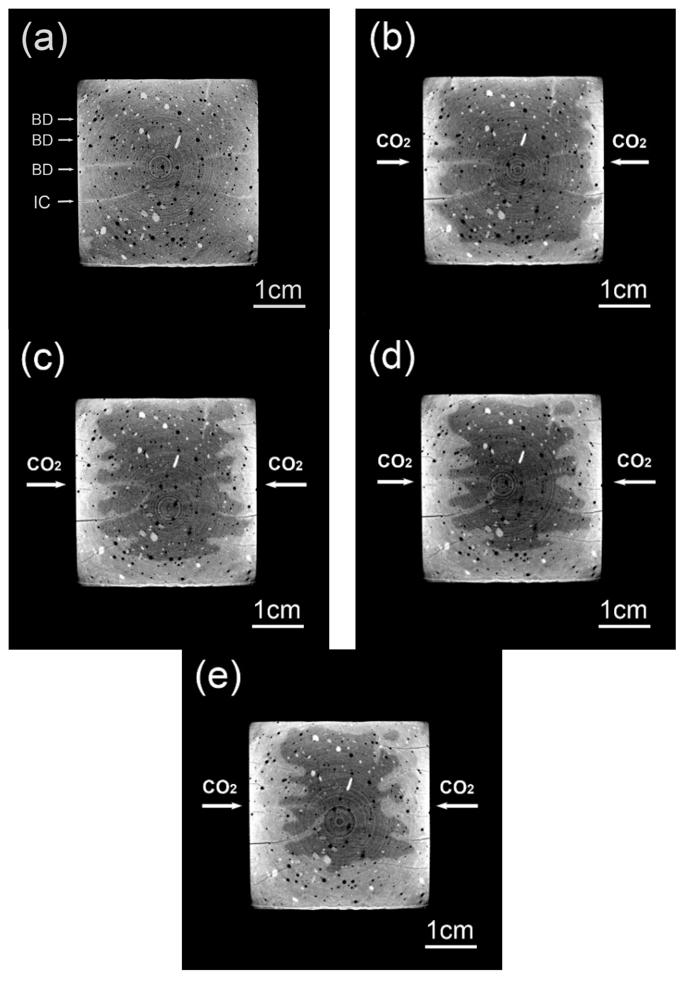 Materials 13 01804 g004 Materials 13 01804 g004