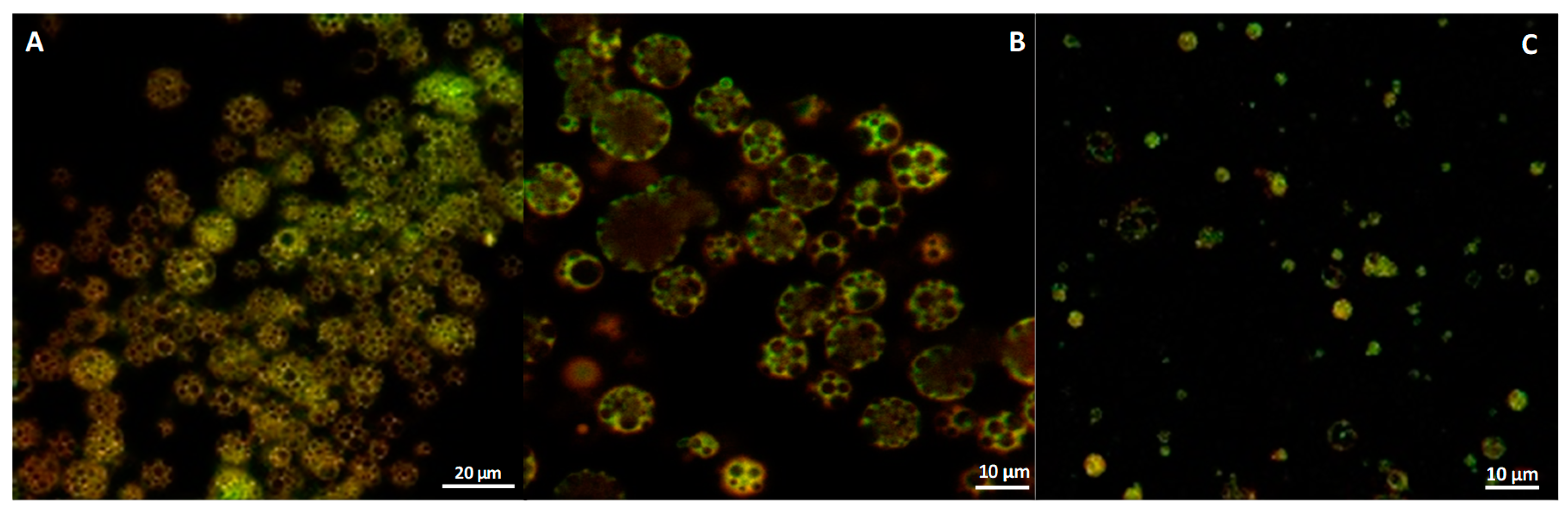Materials 13 01807 g001