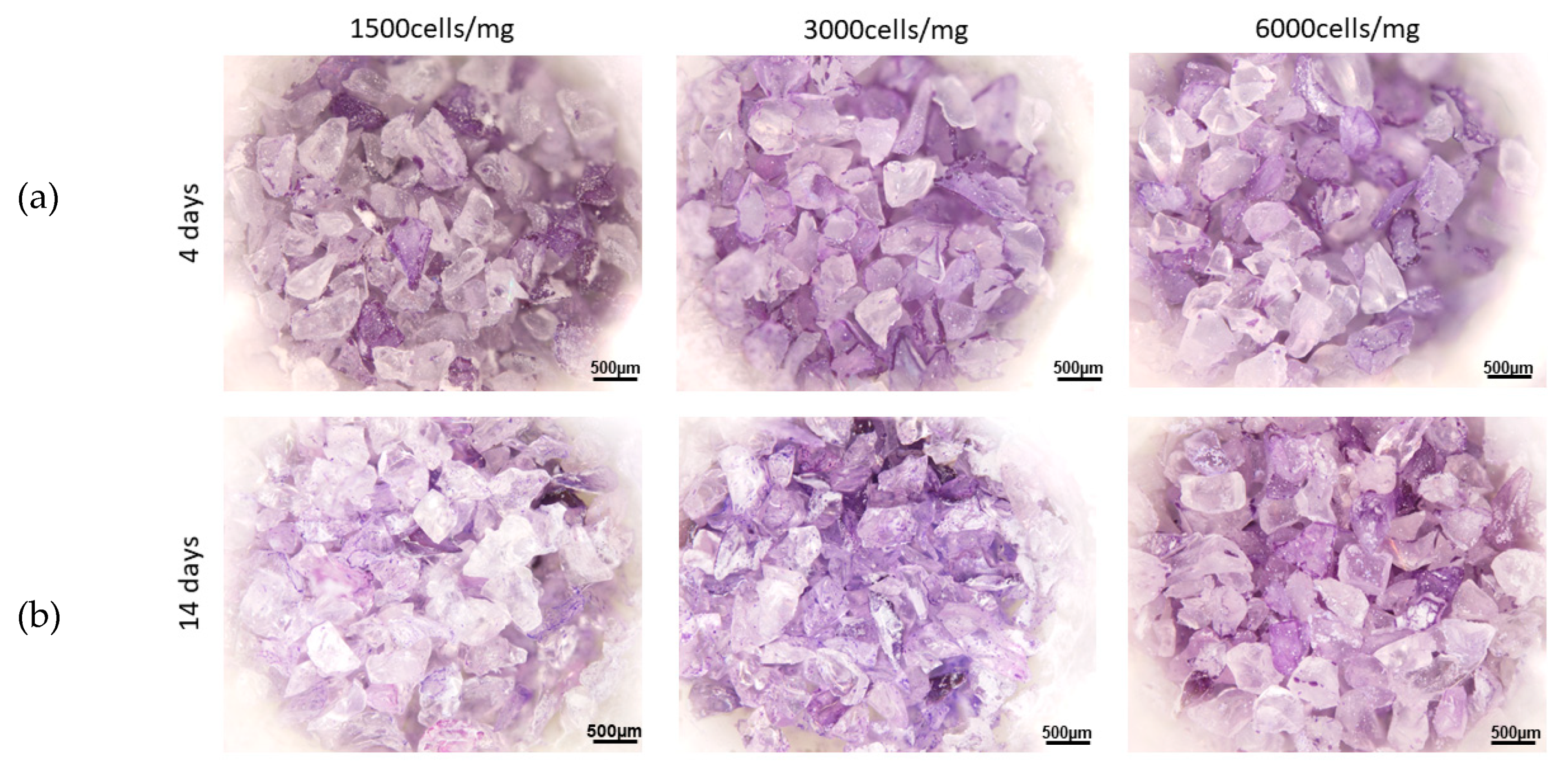 Materials 13 01816 g001