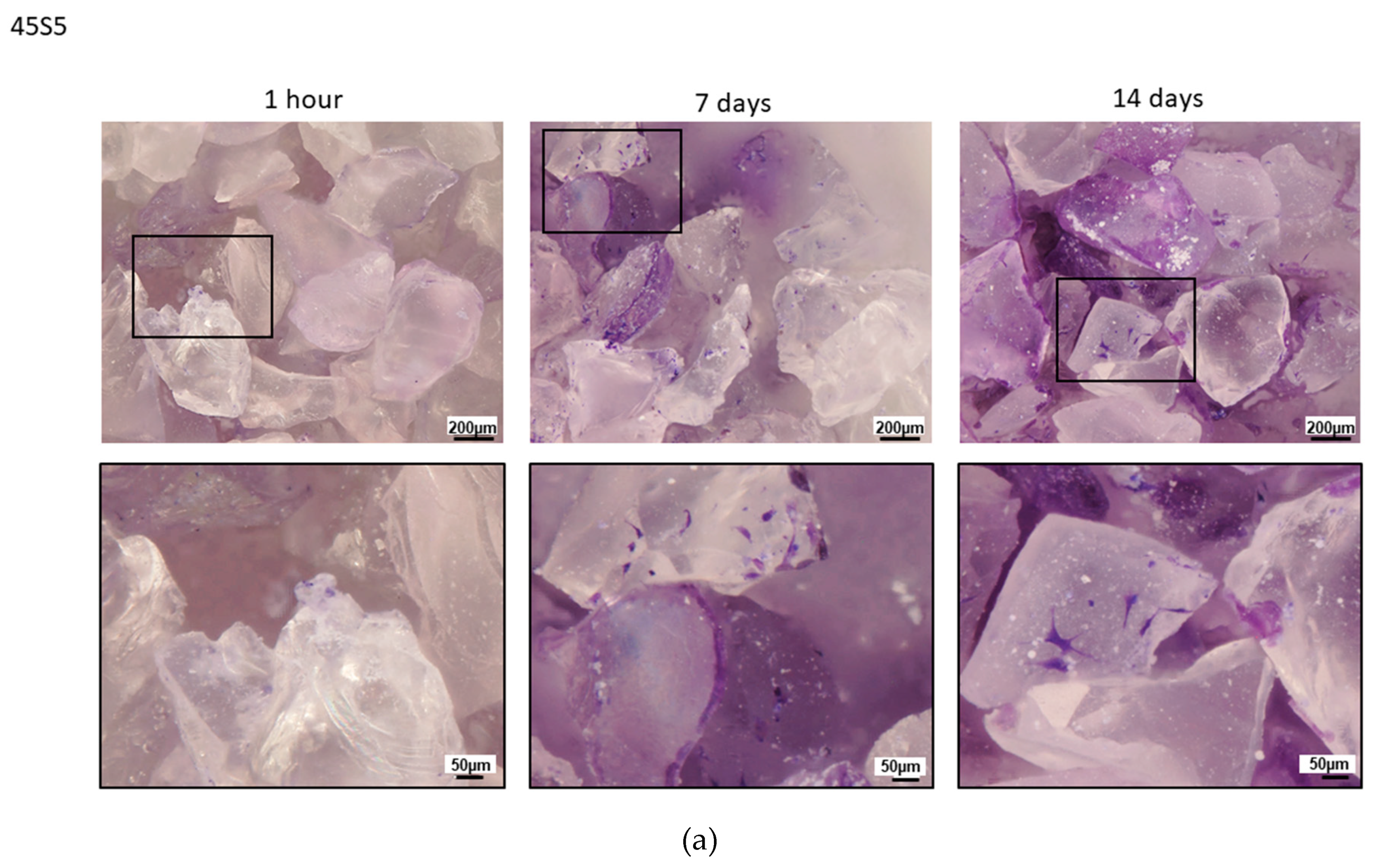 Materials 13 01816 g002a