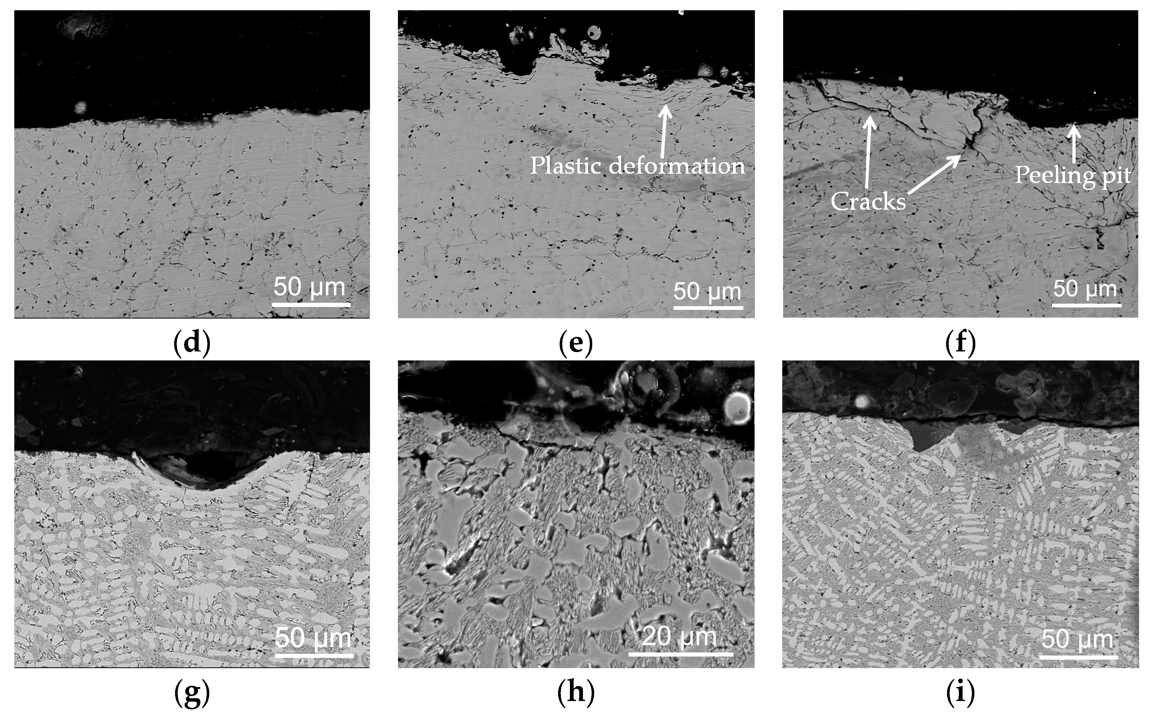 Materials 13 01818 g010b