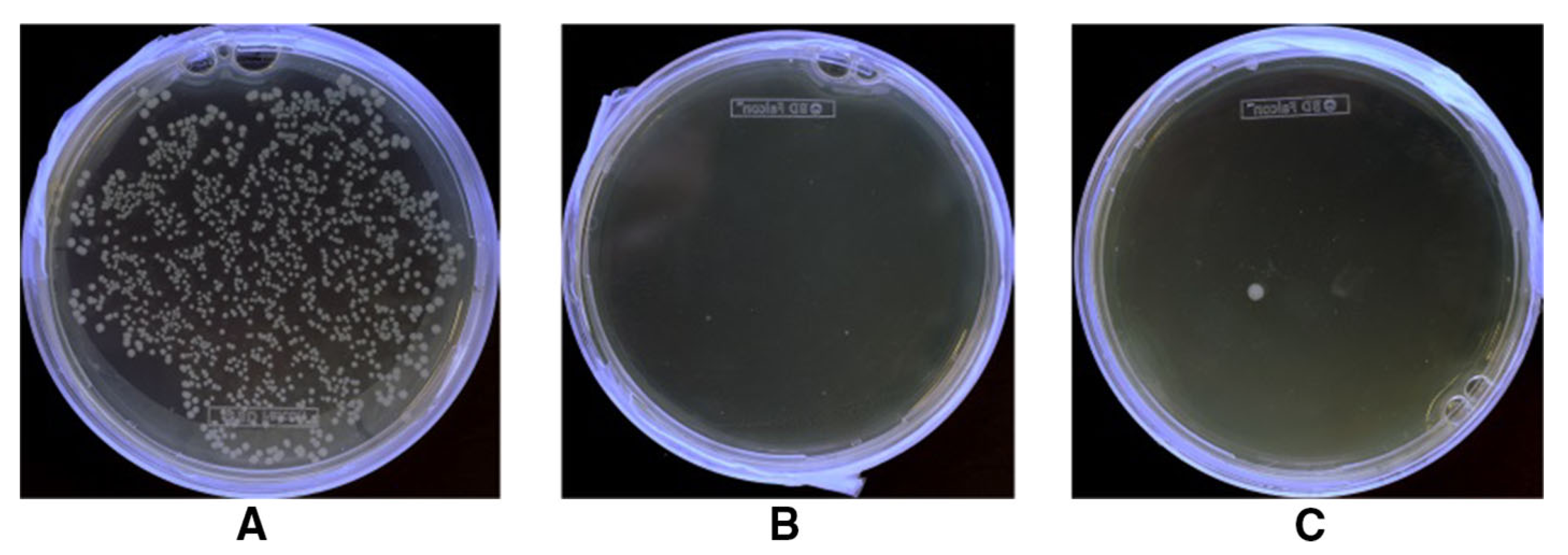 Materials 13 01838 g022 Materials 13 01838 g022