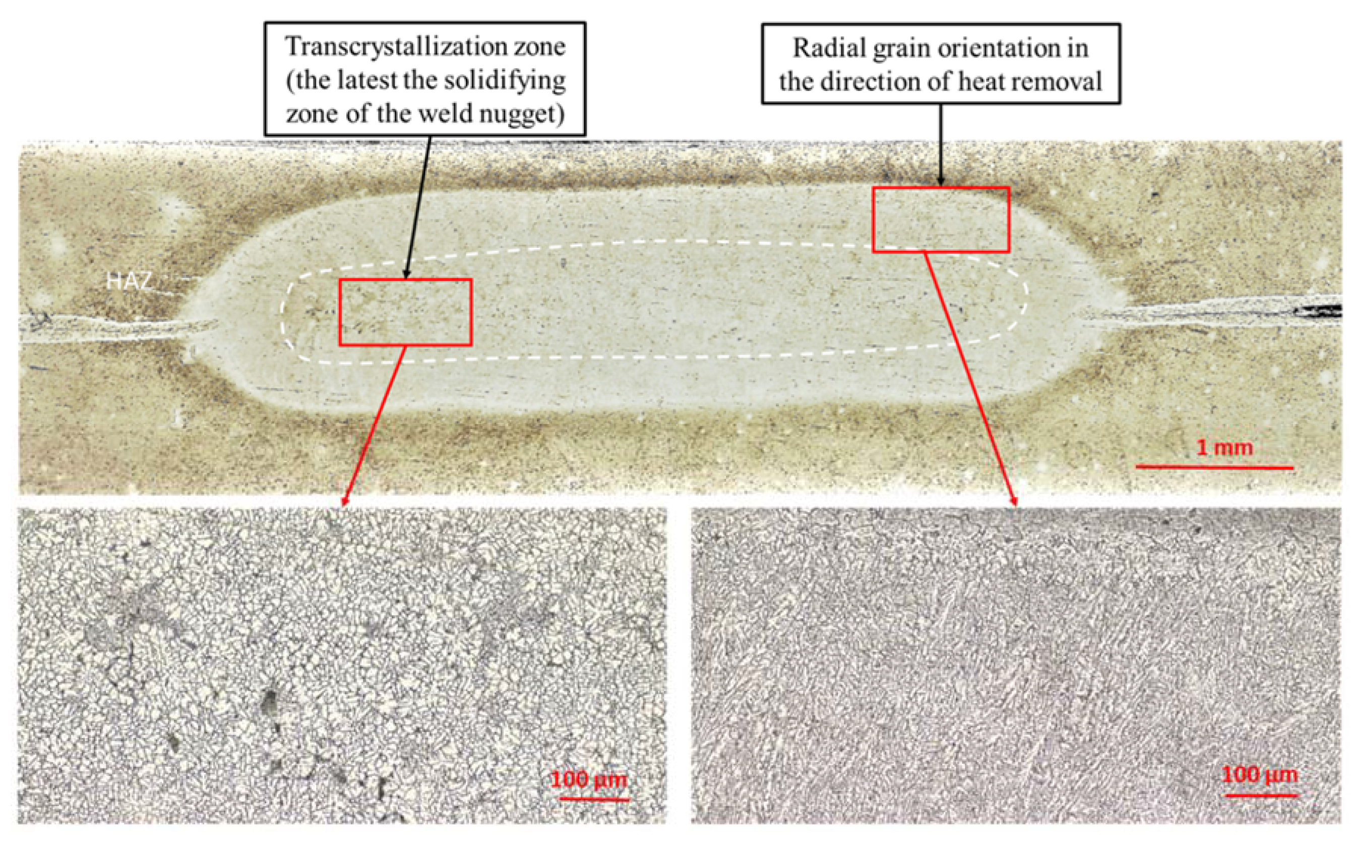 Materials 13 01841 g006 550