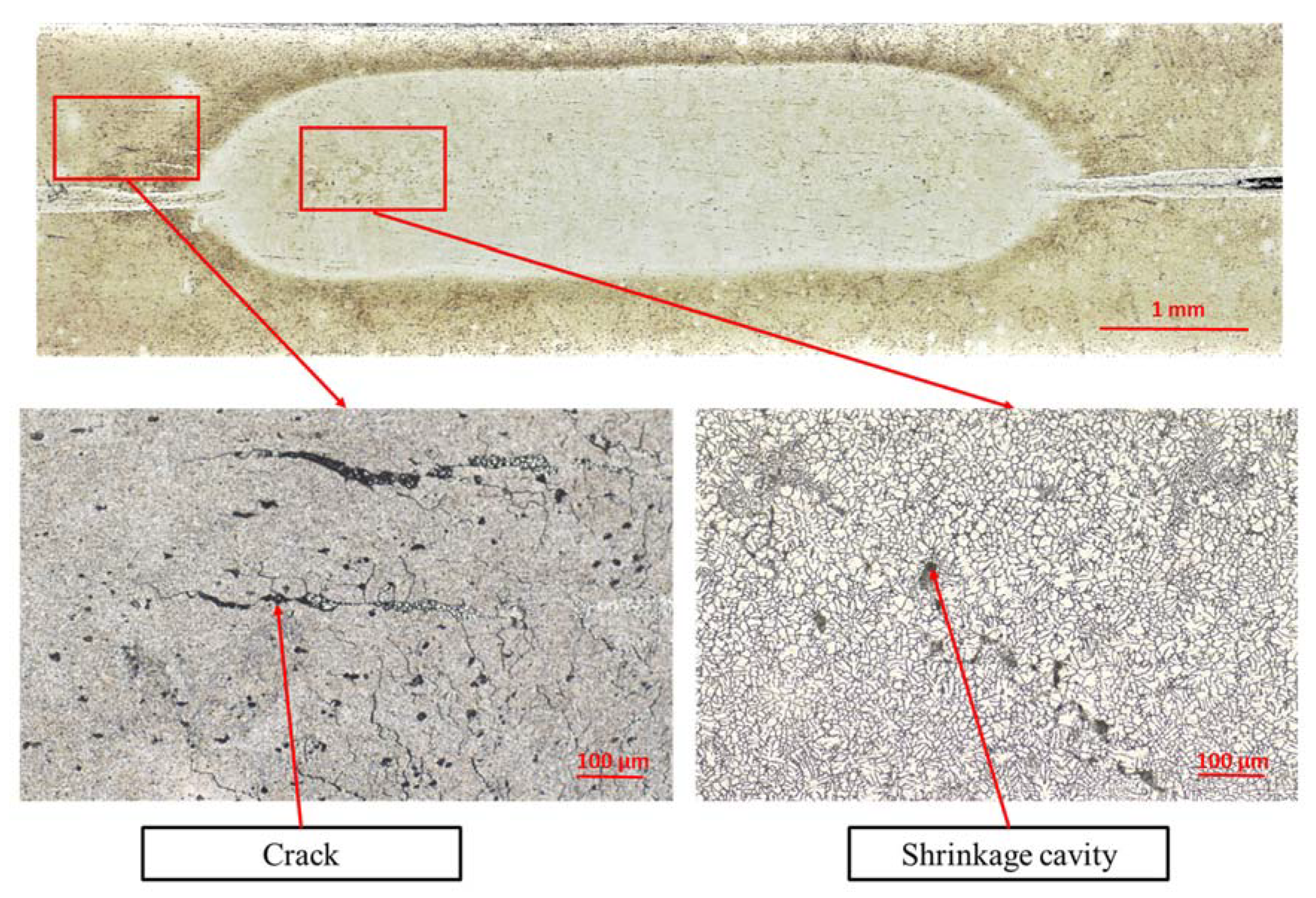 Materials 13 01841 g007 550