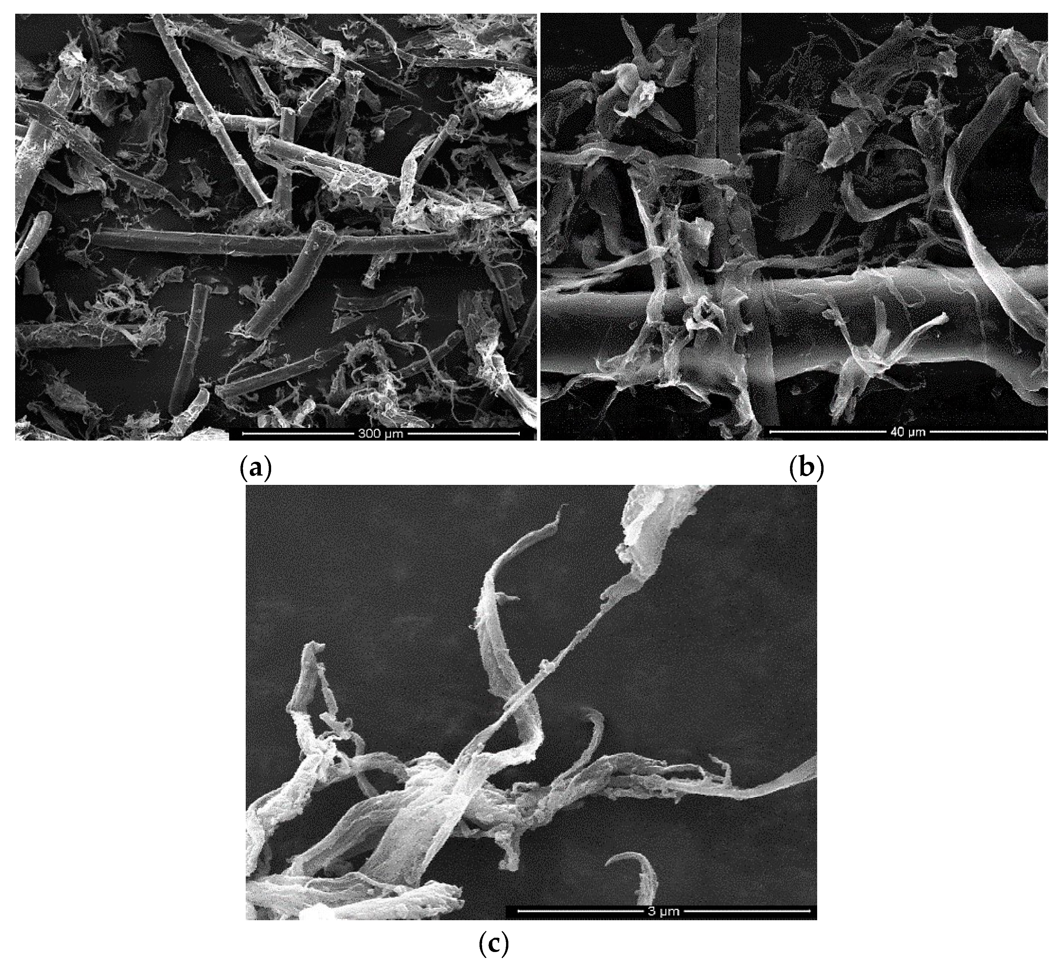 Materials 13 01844 g002 Materials 13 01844 g002