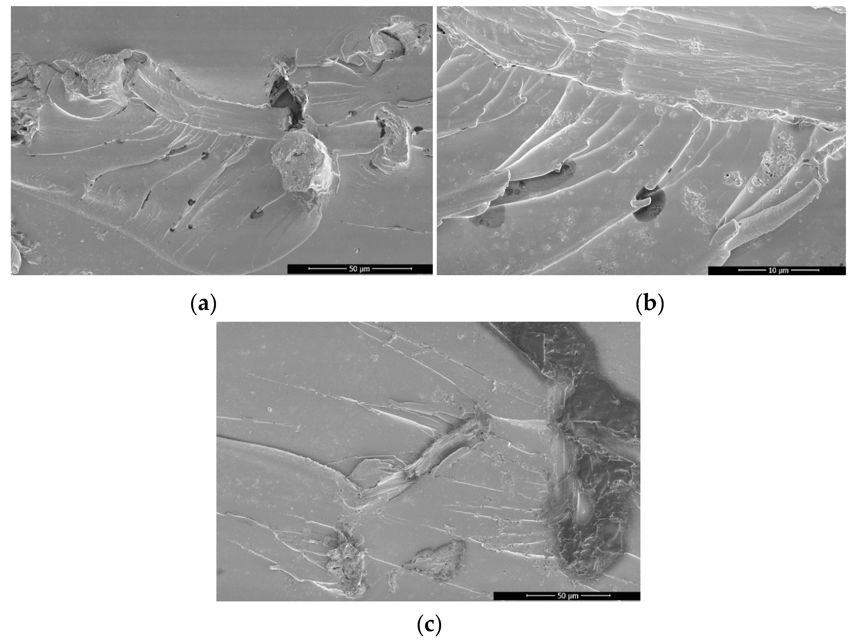 Materials 13 01844 g005 Materials 13 01844 g005