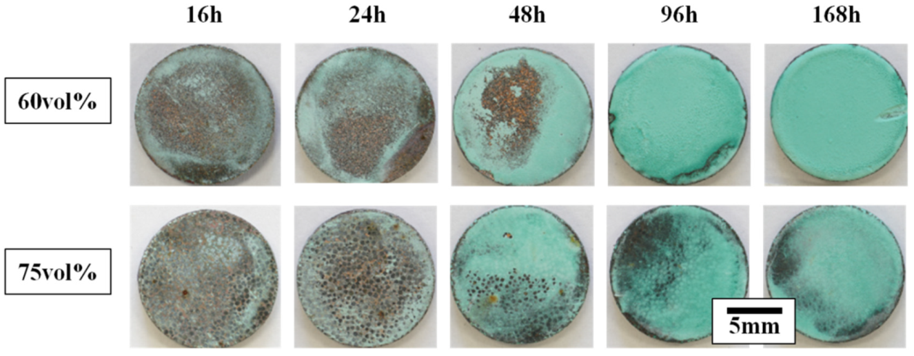 Materials 13 01847 g001 550