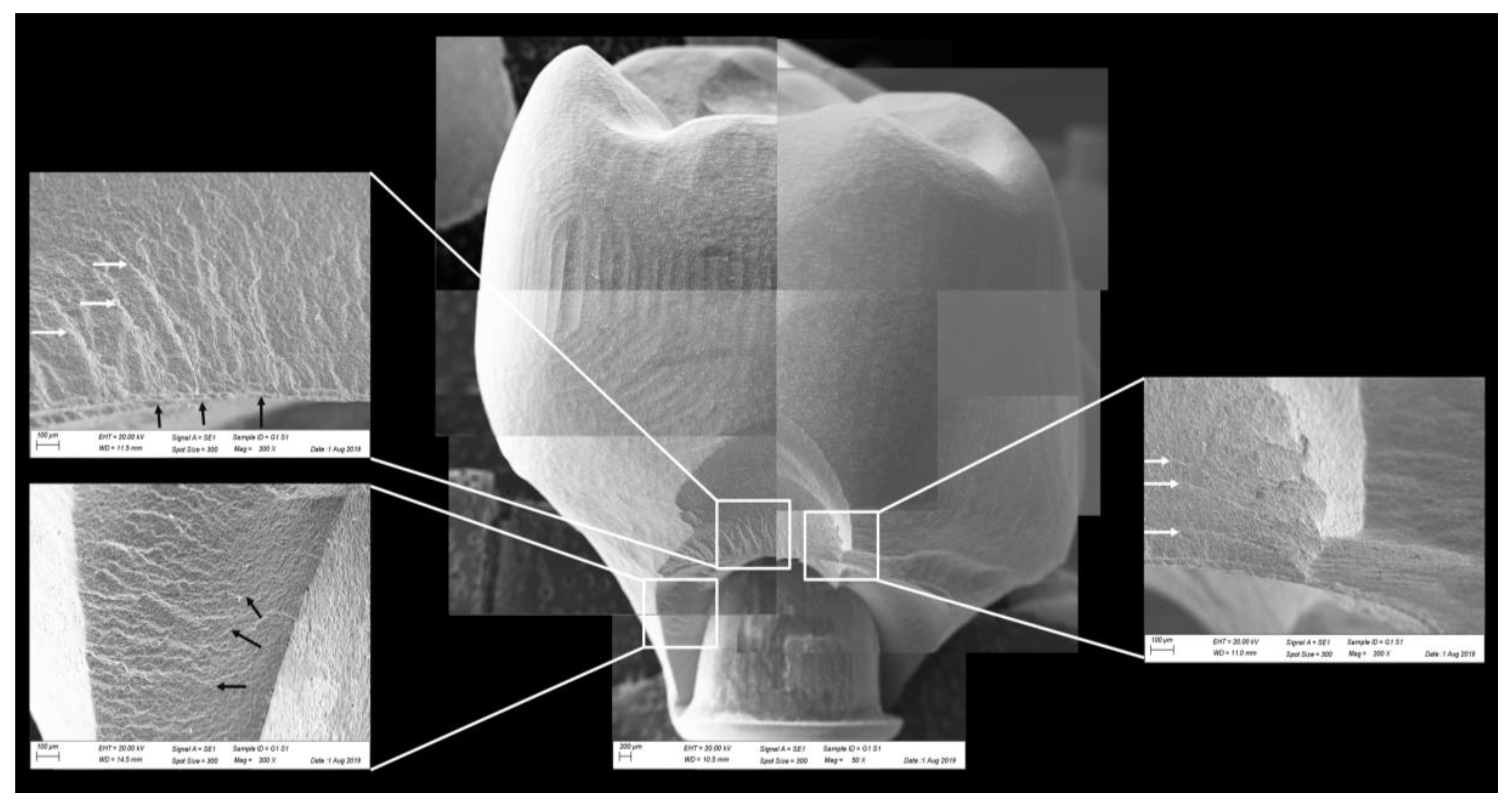 Materials 13 01879 g010 Materials 13 01879 g010