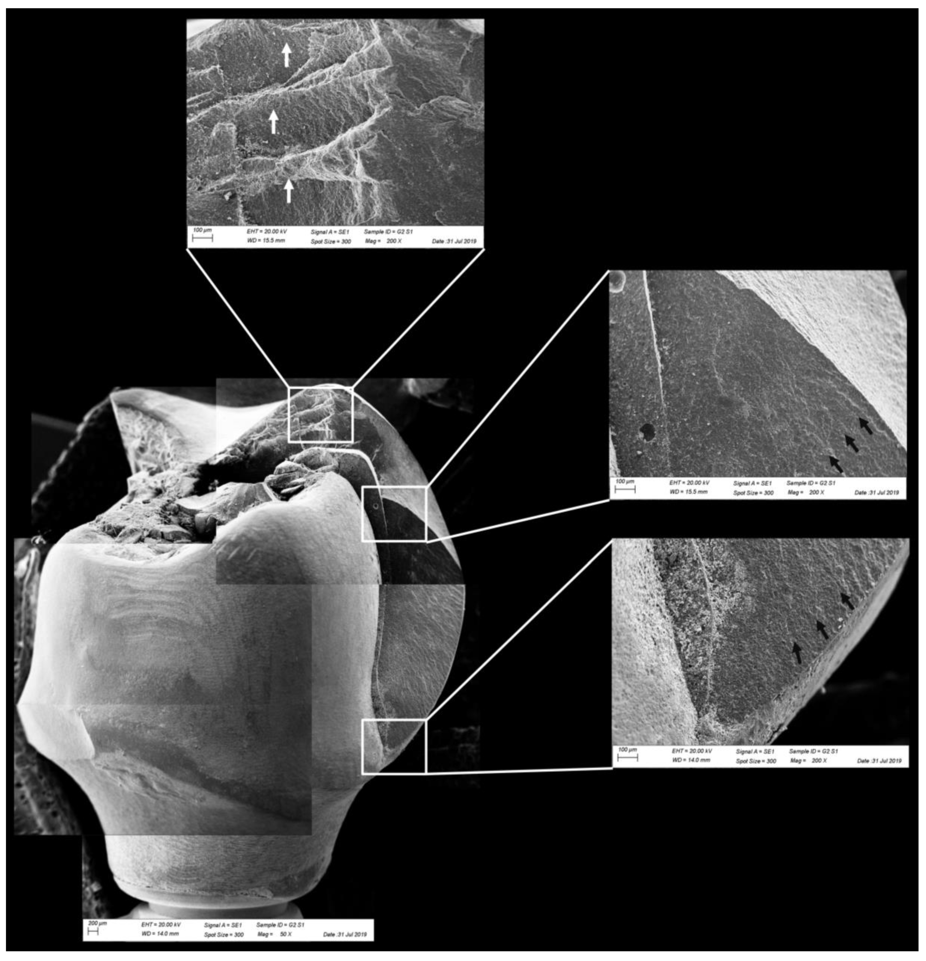Materials 13 01879 g011 Materials 13 01879 g011