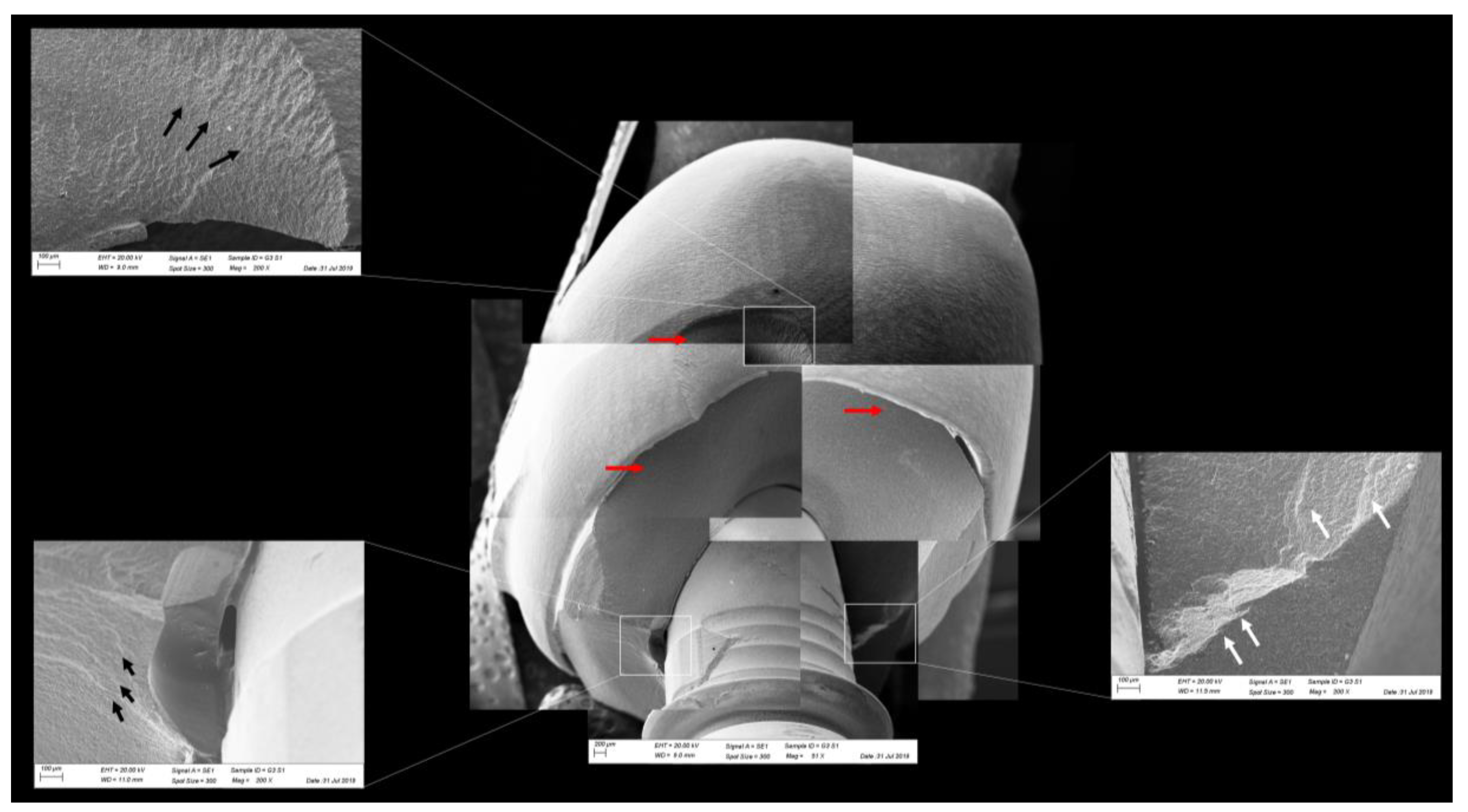 Materials 13 01879 g012 Materials 13 01879 g012