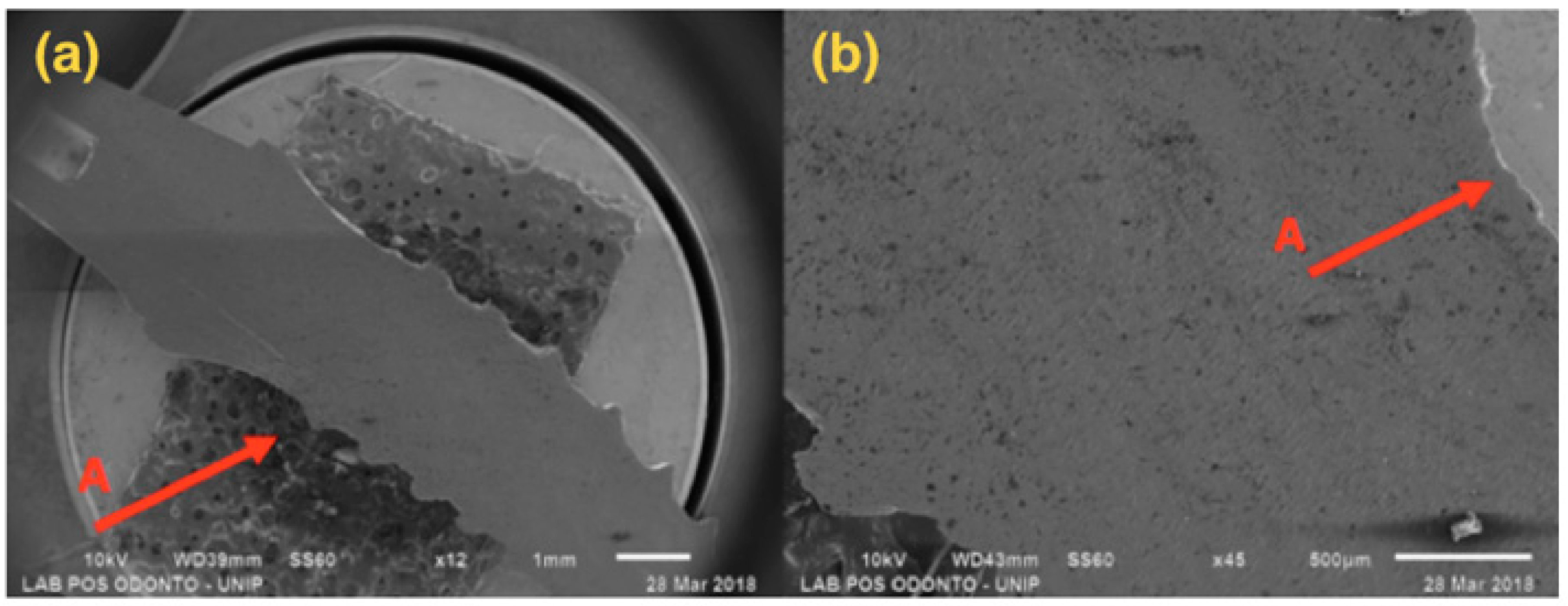 Materials 13 01888 g004 Materials 13 01888 g004