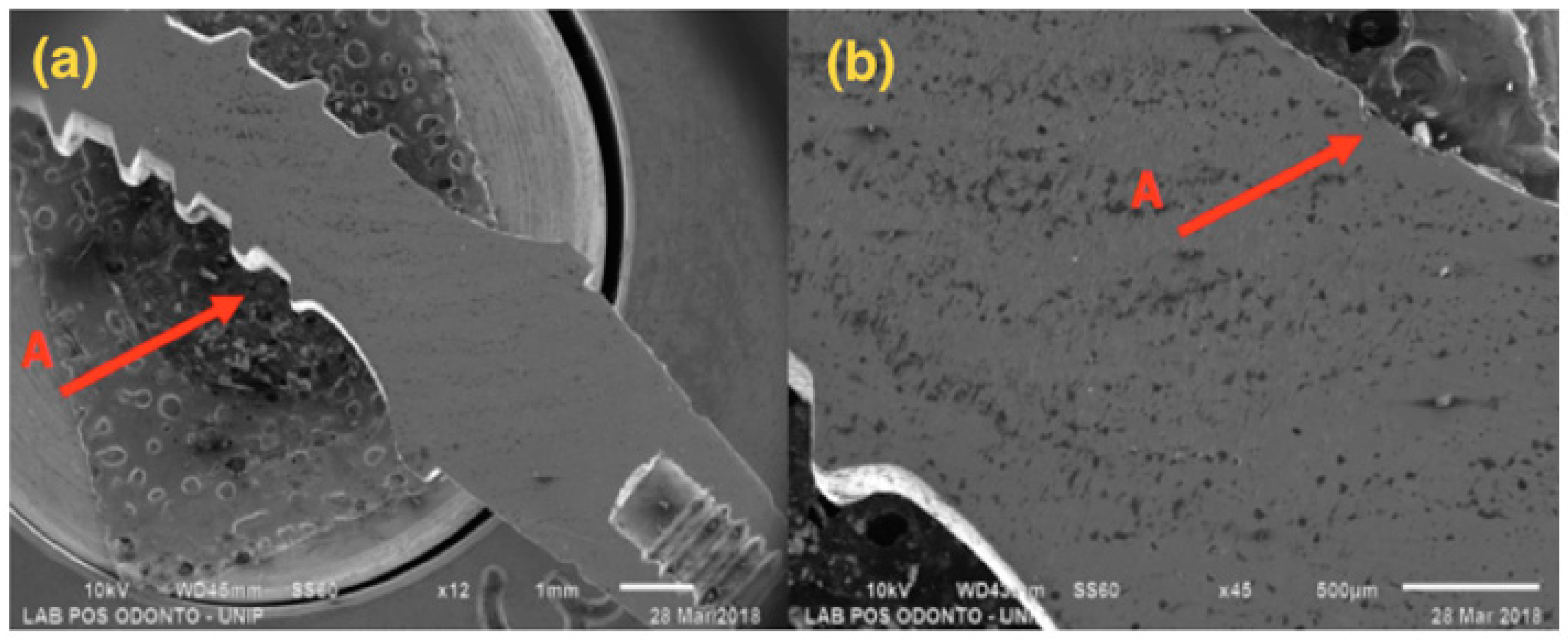 Materials 13 01888 g005 Materials 13 01888 g005