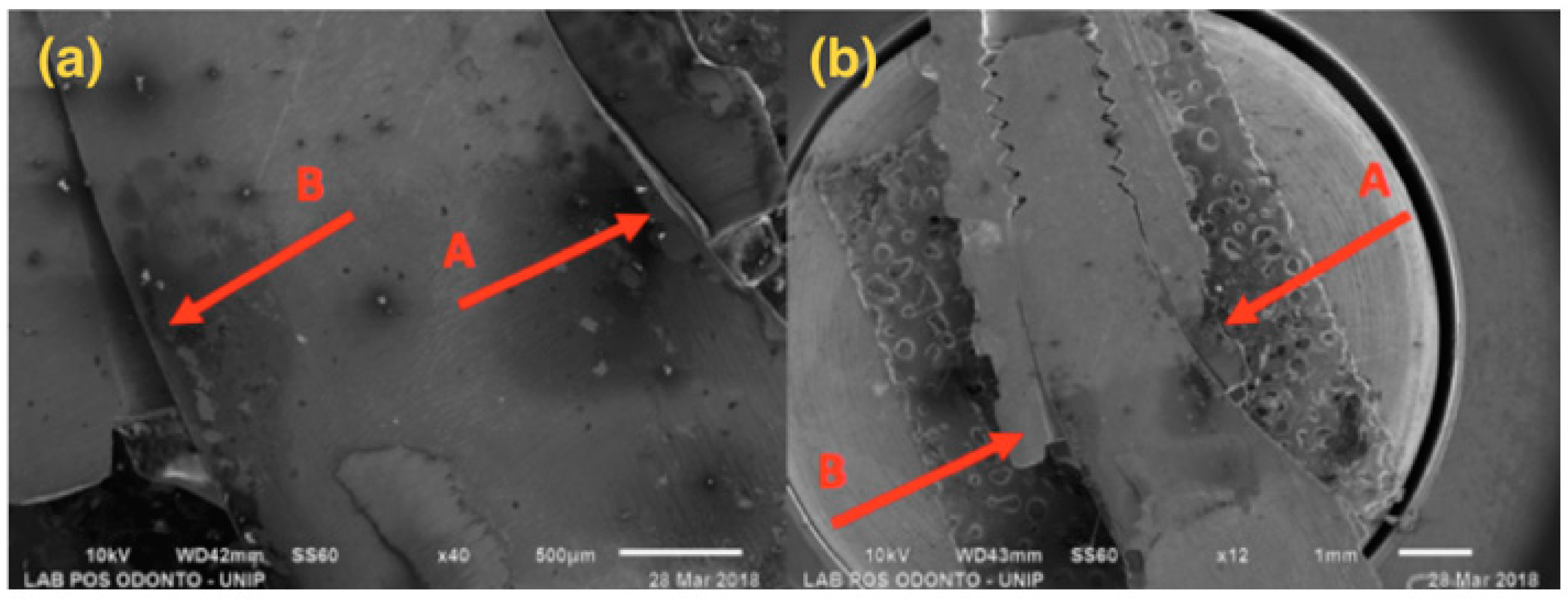 Materials 13 01888 g006 Materials 13 01888 g006