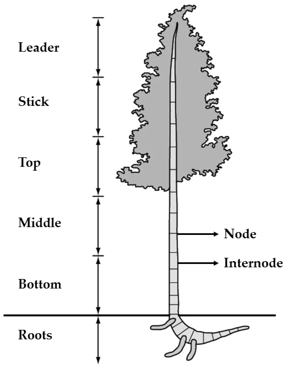 Materials 13 01892 g001 Materials 13 01892 g001