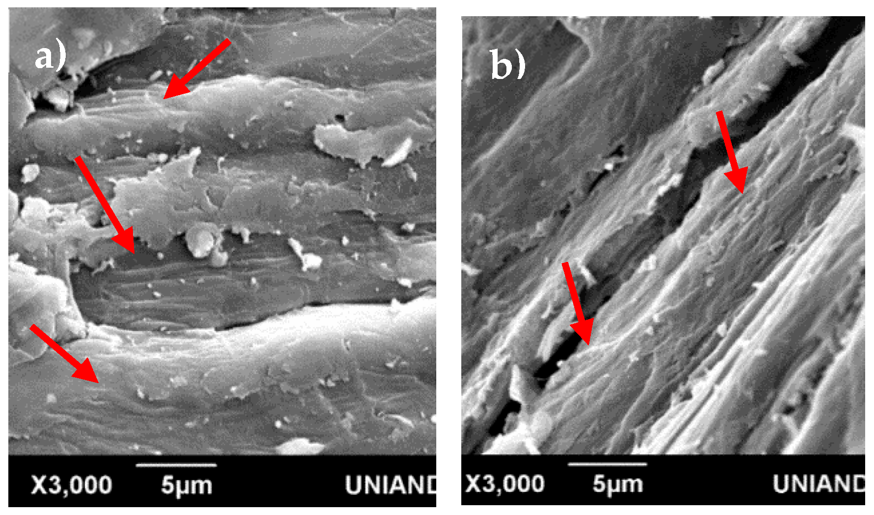 Materials 13 01892 g006 Materials 13 01892 g006