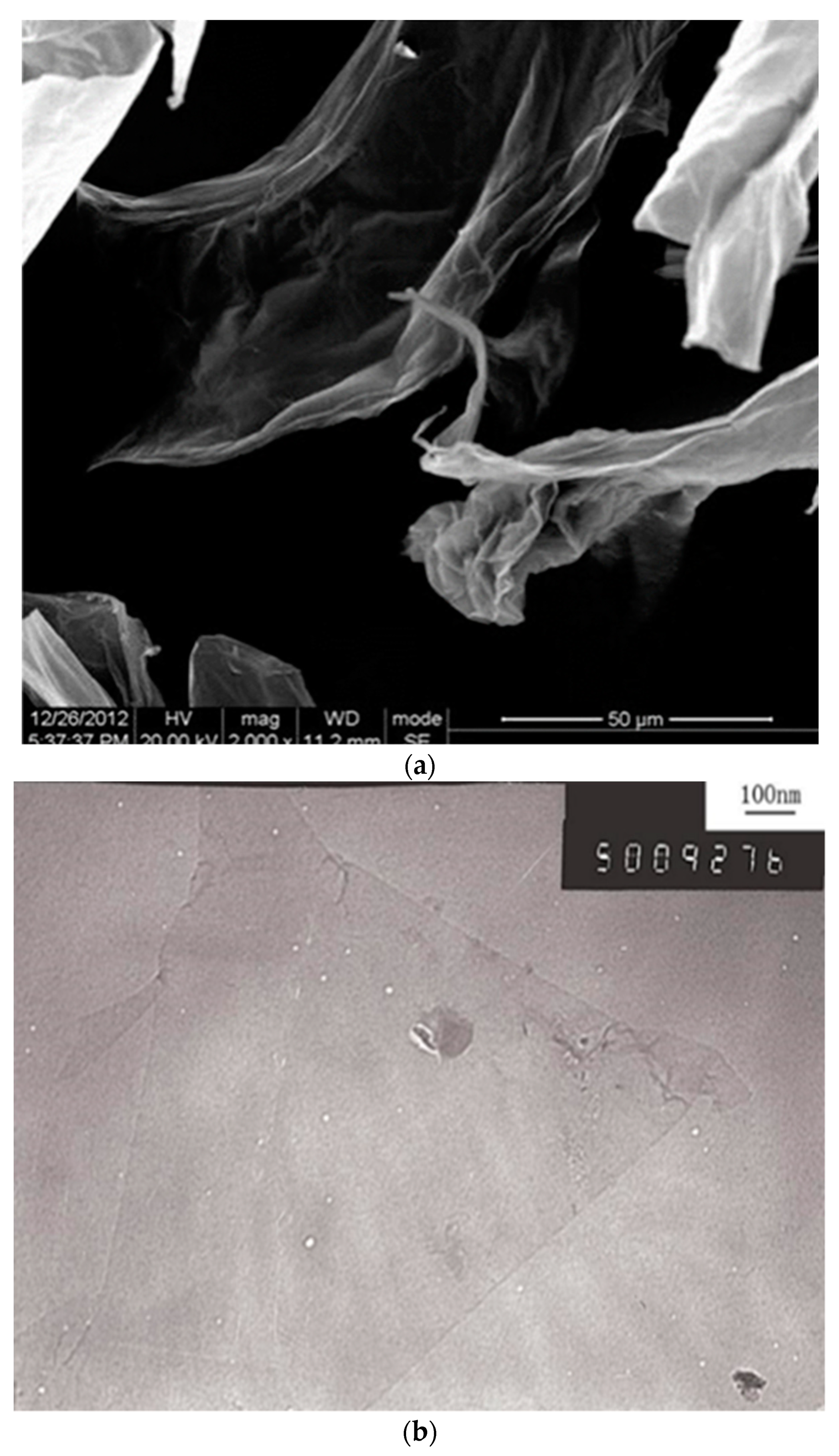 Materials 13 01929 g001