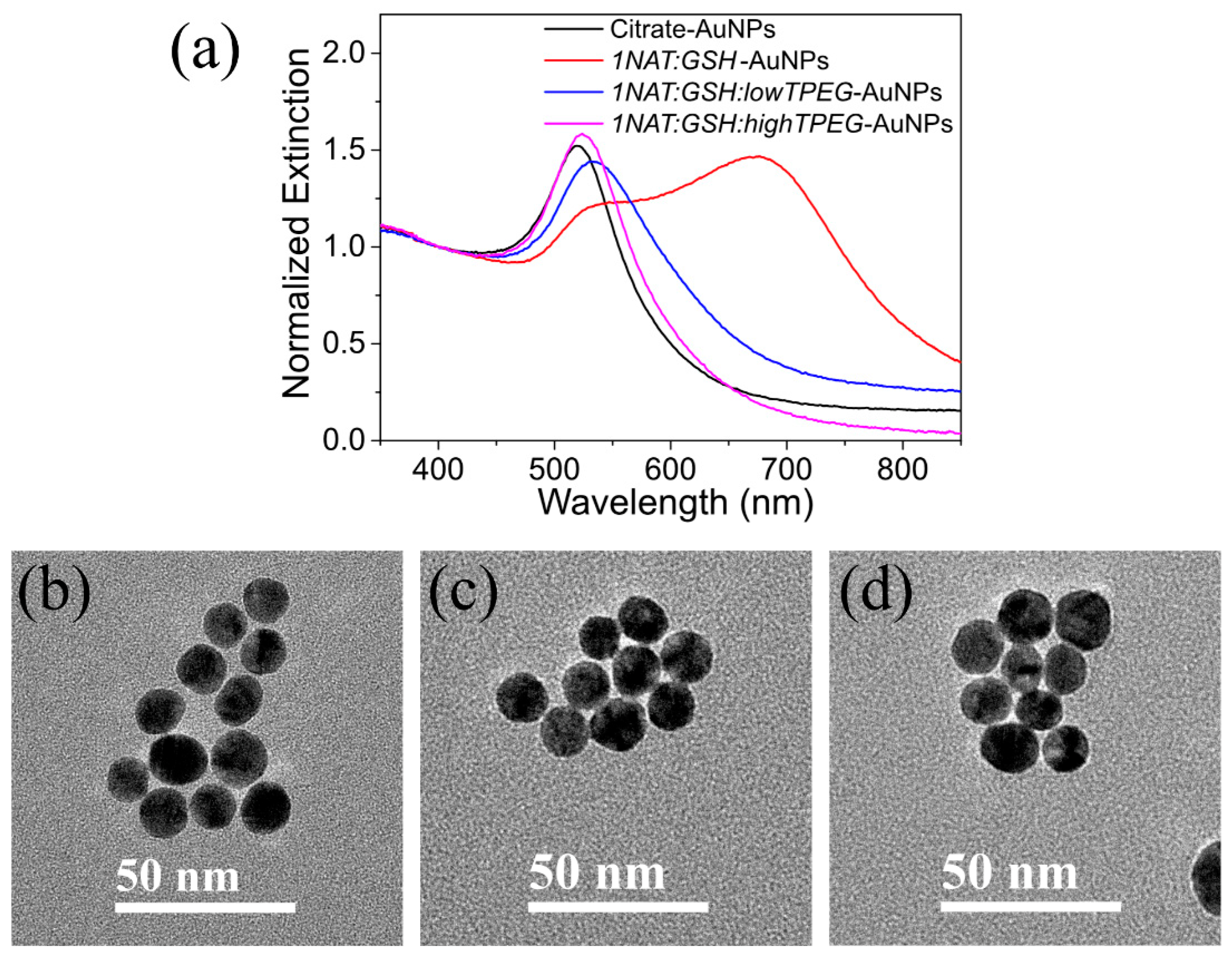 Materials 13 01934 g001 Materials 13 01934 g001