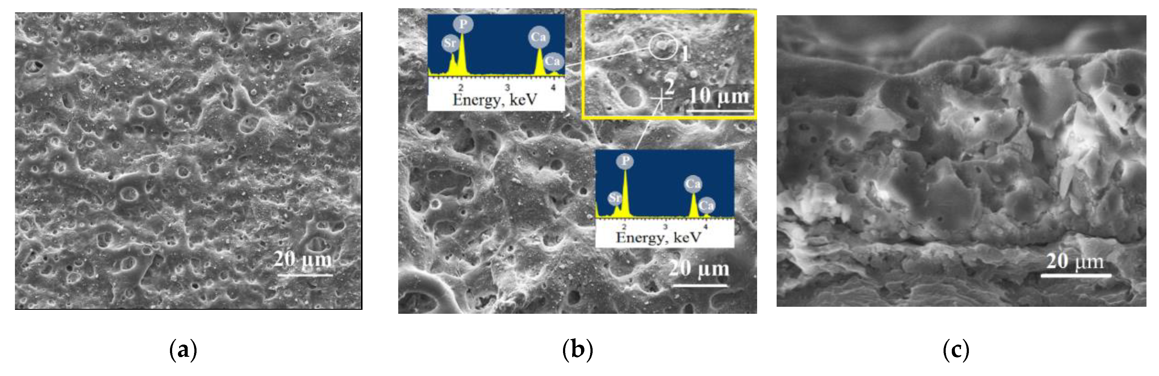Materials 13 01942 g002a Materials 13 01942 g002a