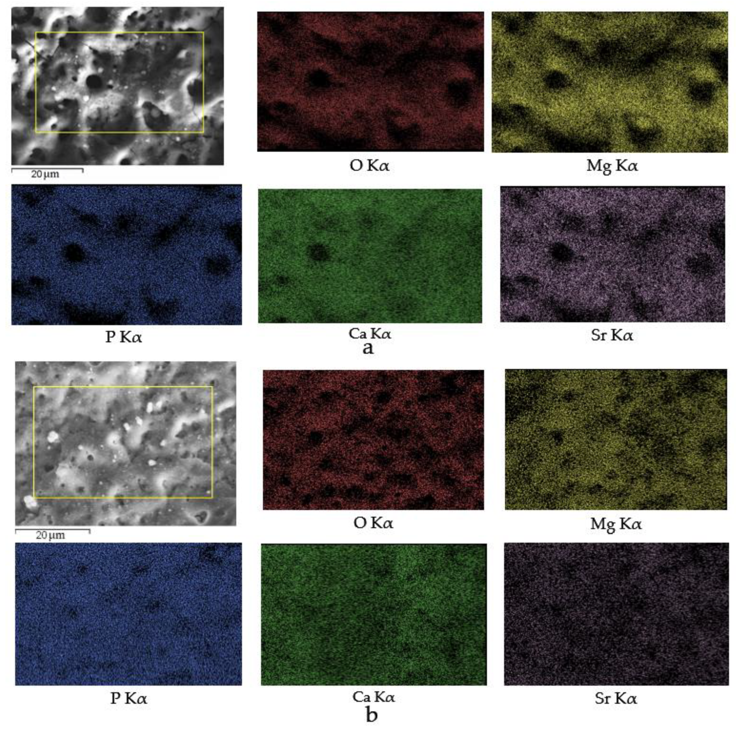 Materials 13 01942 g007 Materials 13 01942 g007