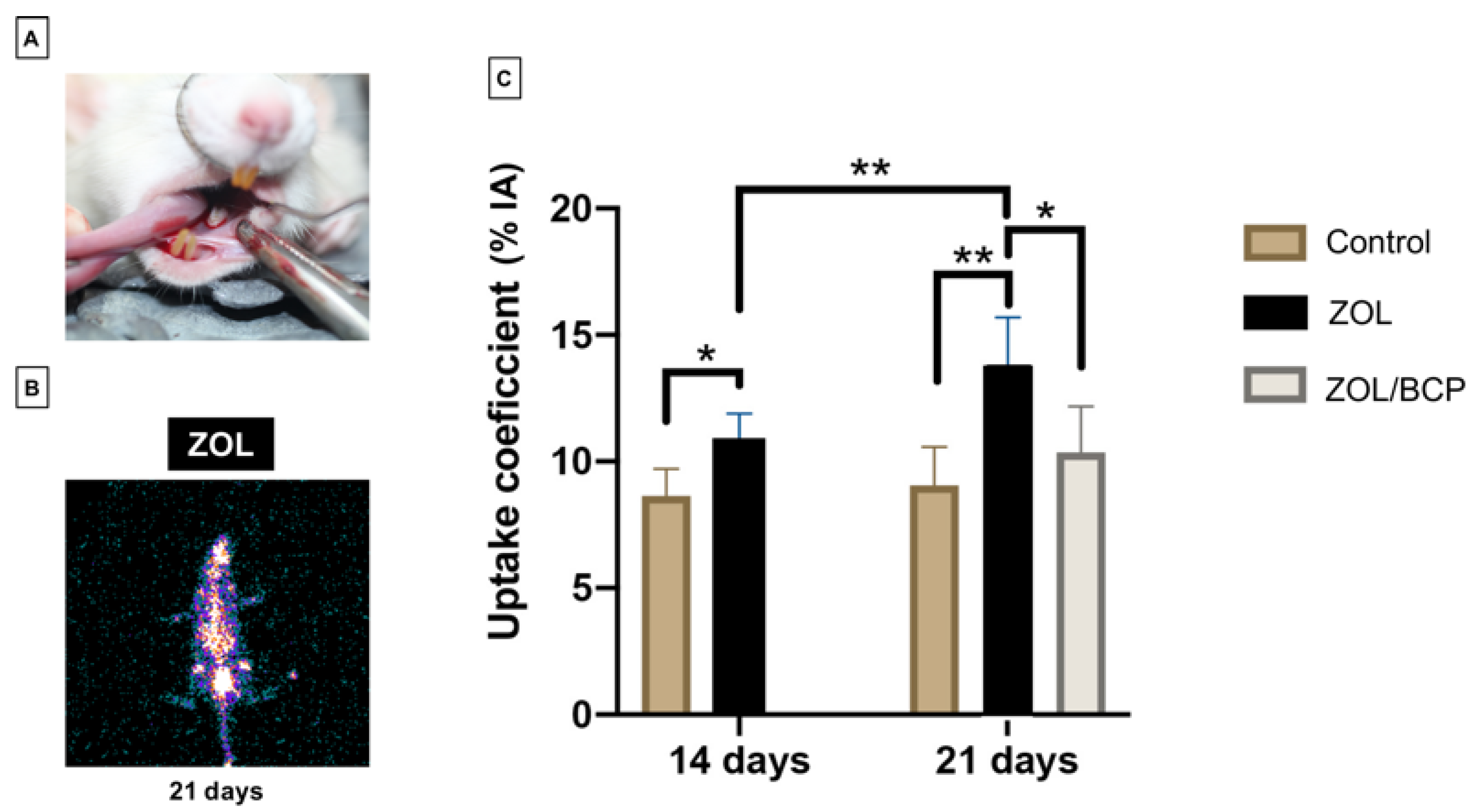 Materials 13 01955 g001 Materials 13 01955 g001
