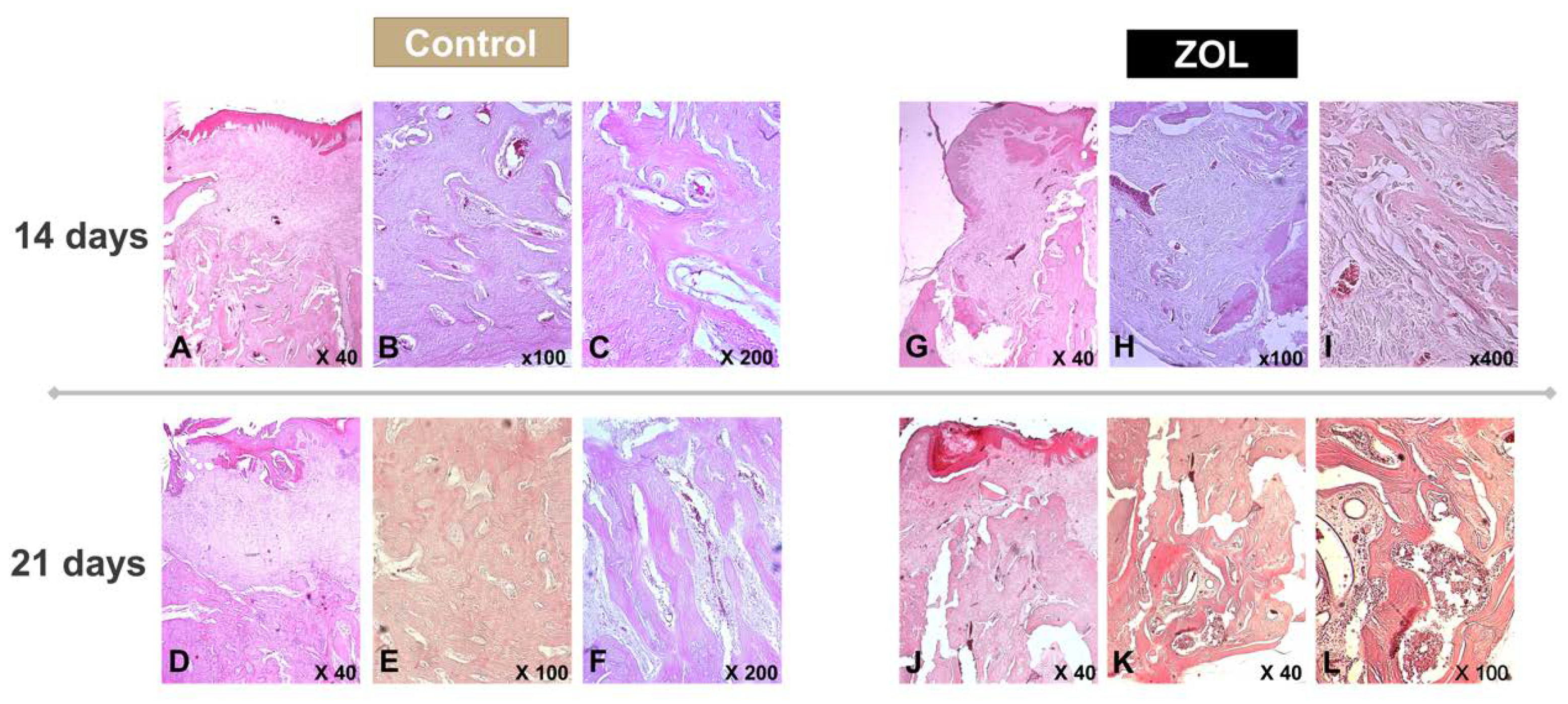 Materials 13 01955 g004 Materials 13 01955 g004