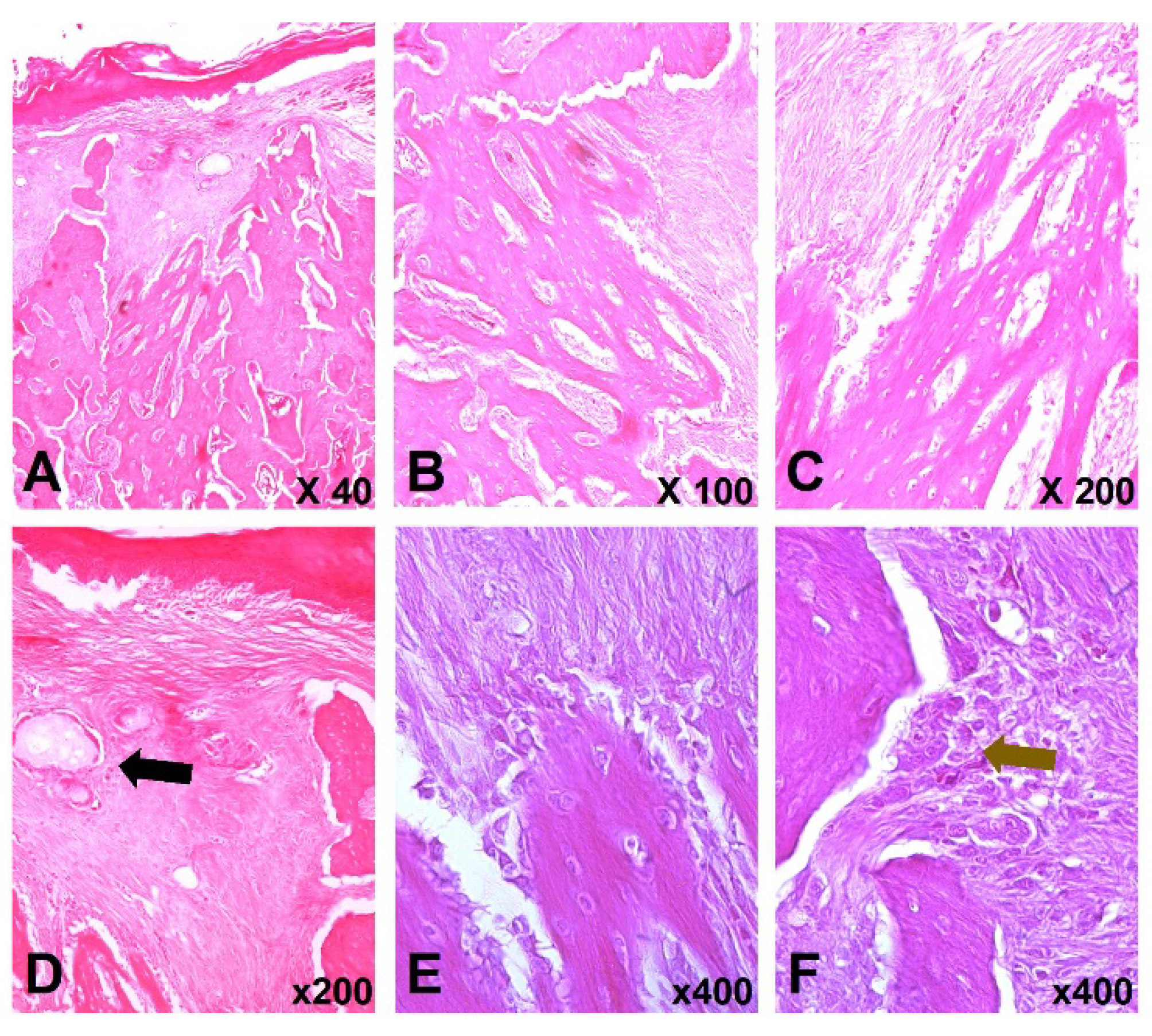 Materials 13 01955 g005 Materials 13 01955 g005