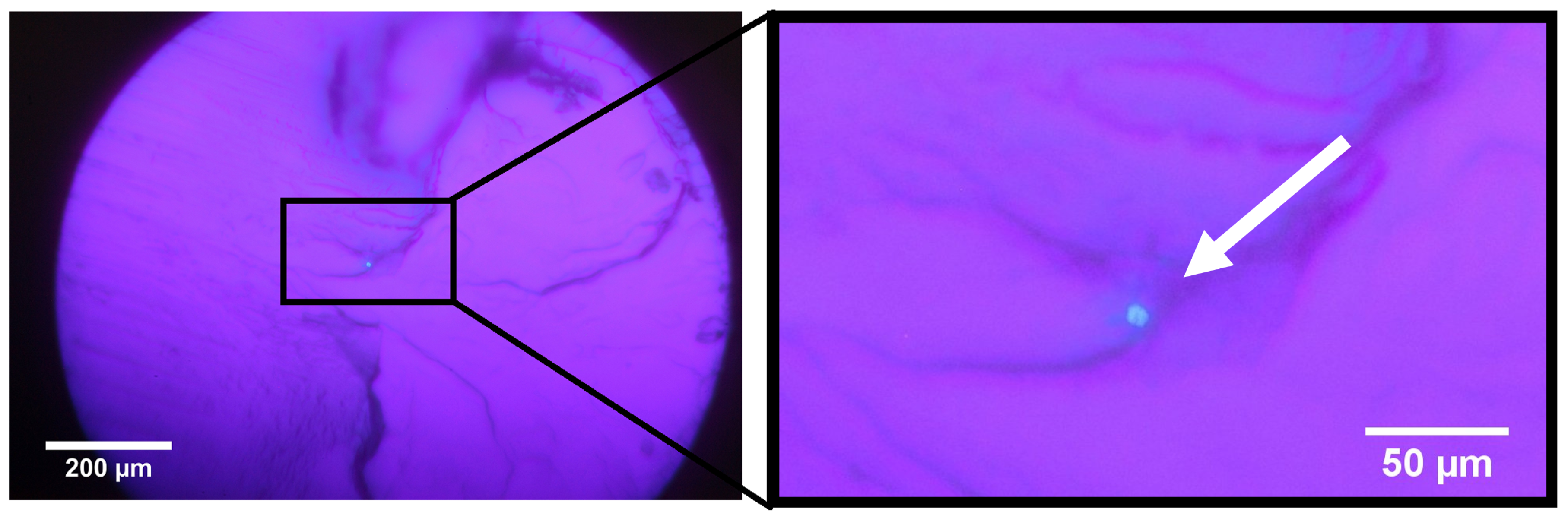 Materials 13 01975 g008