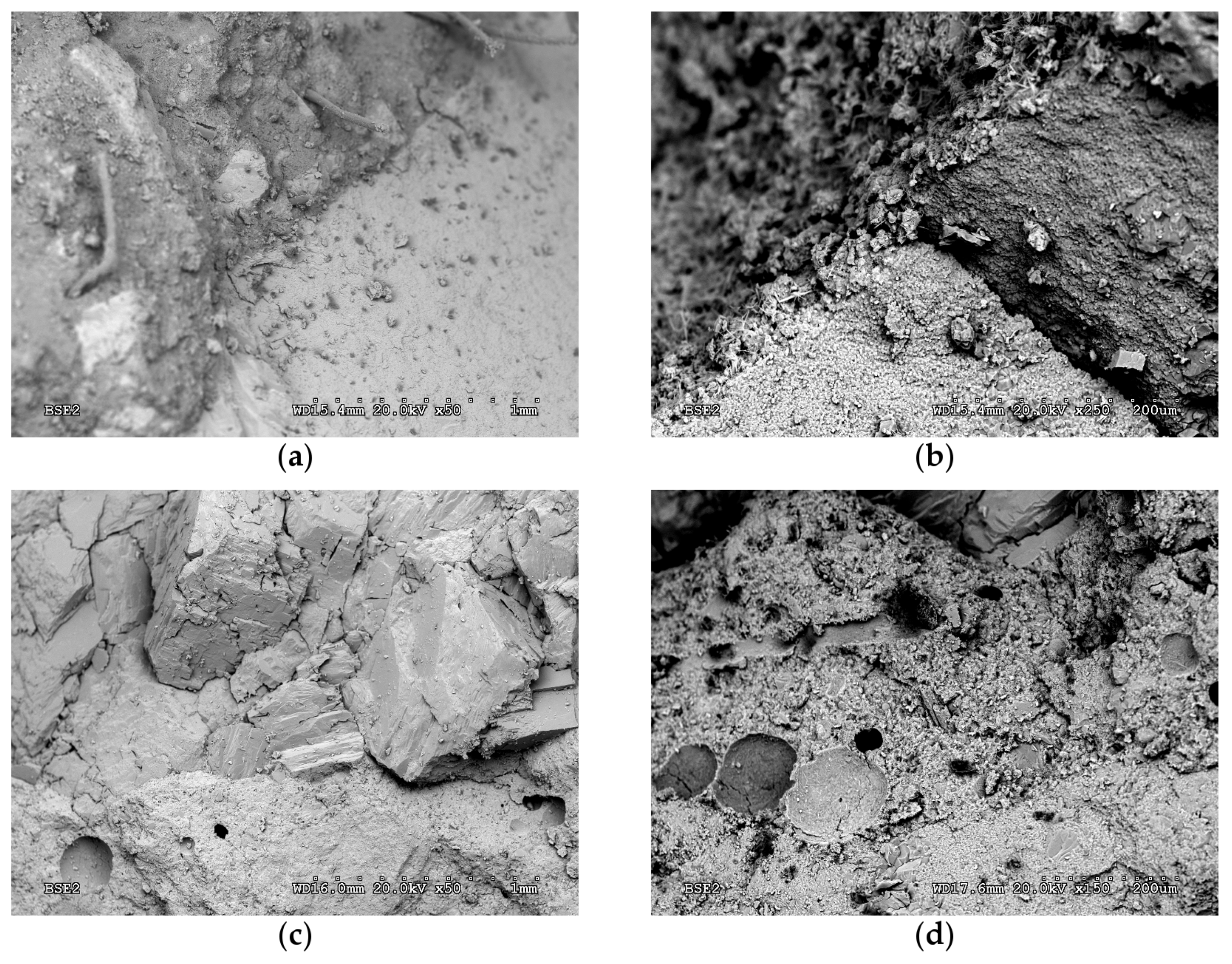 Materials 13 01981 g007