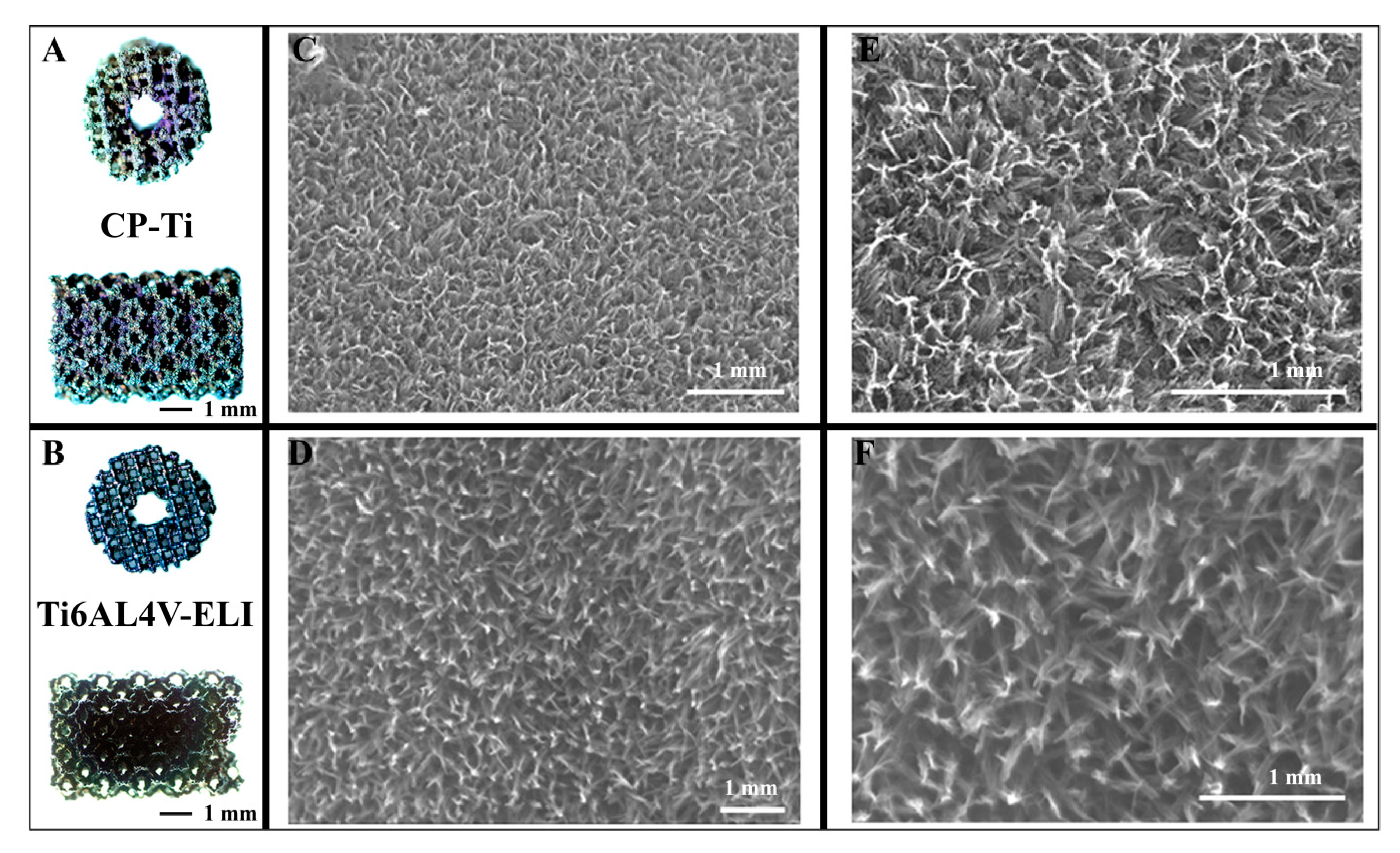 Materials 13 01992 g002 Materials 13 01992 g002