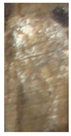 Materials 13 01993 i089