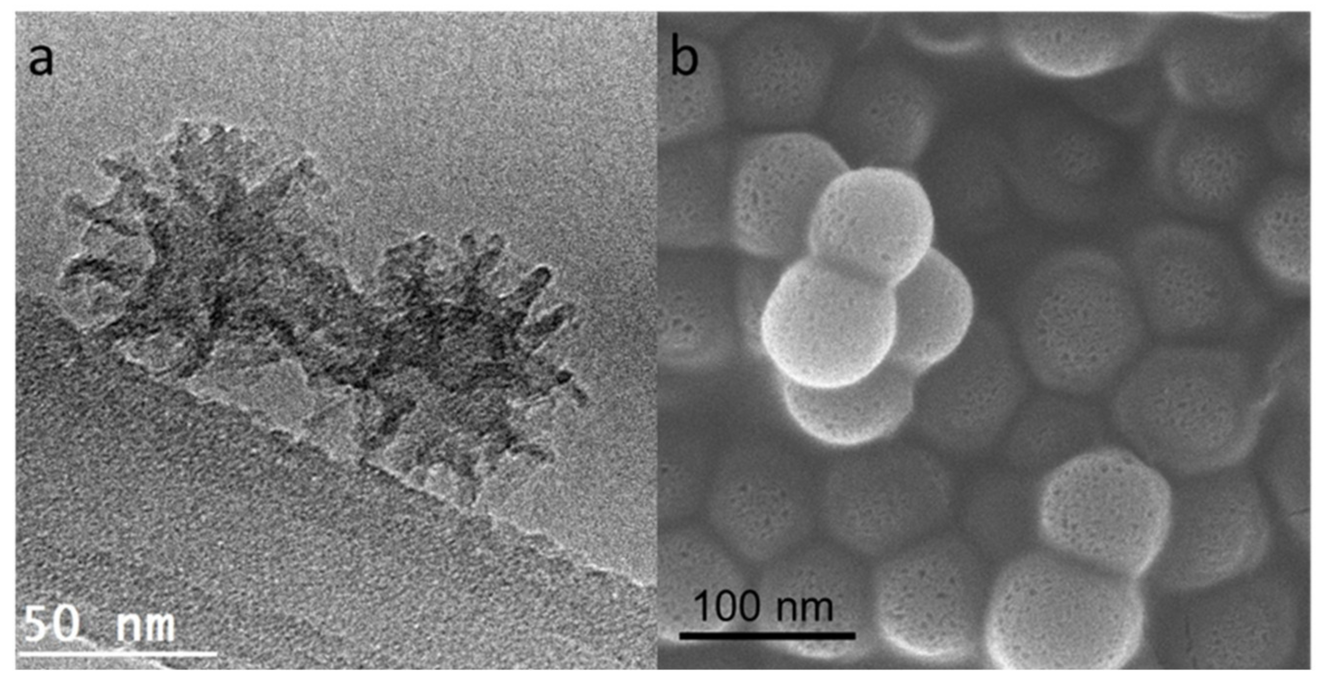 Materials 13 01998 g002 Materials 13 01998 g002