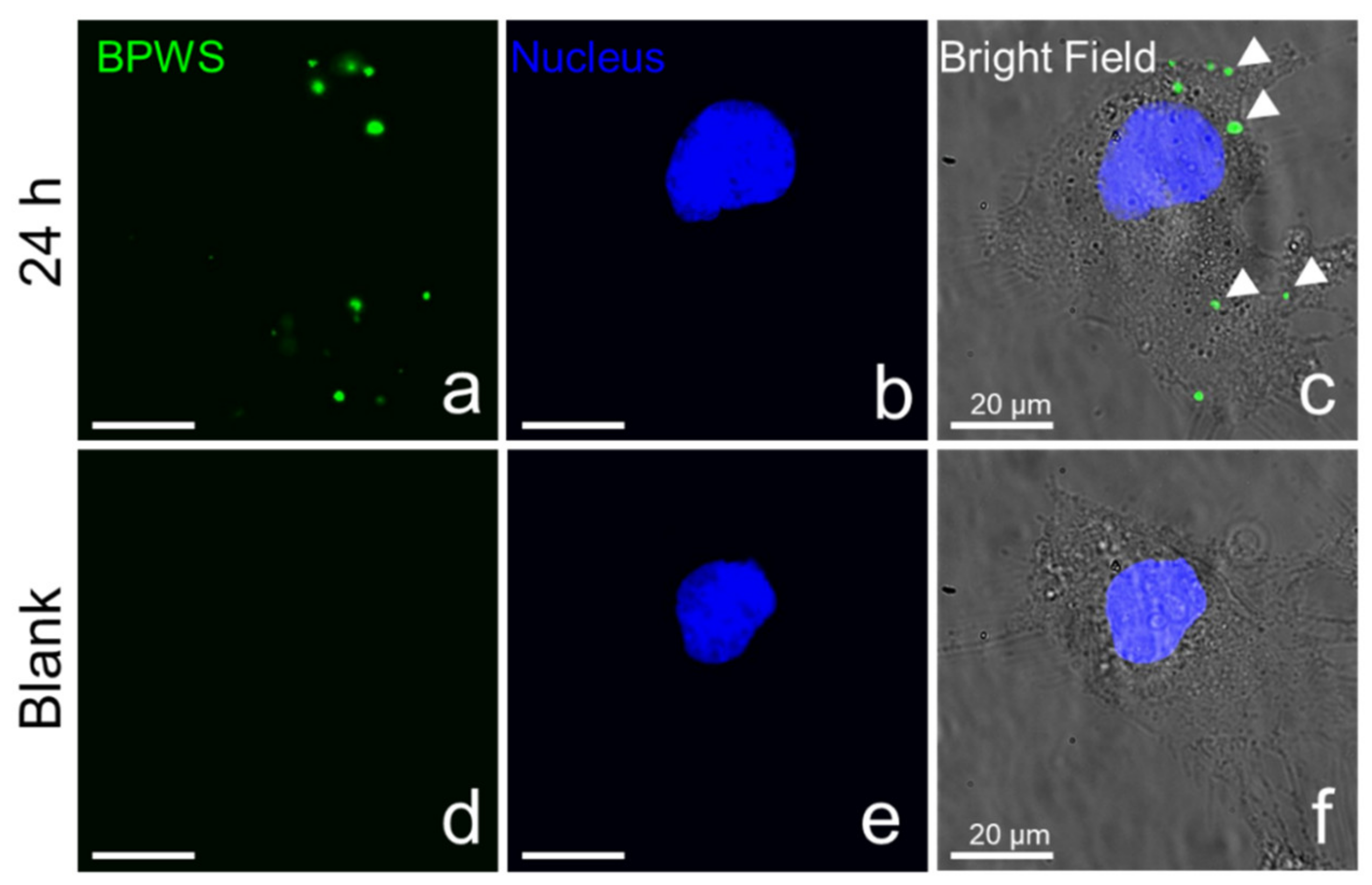 Materials 13 01998 g006 Materials 13 01998 g006