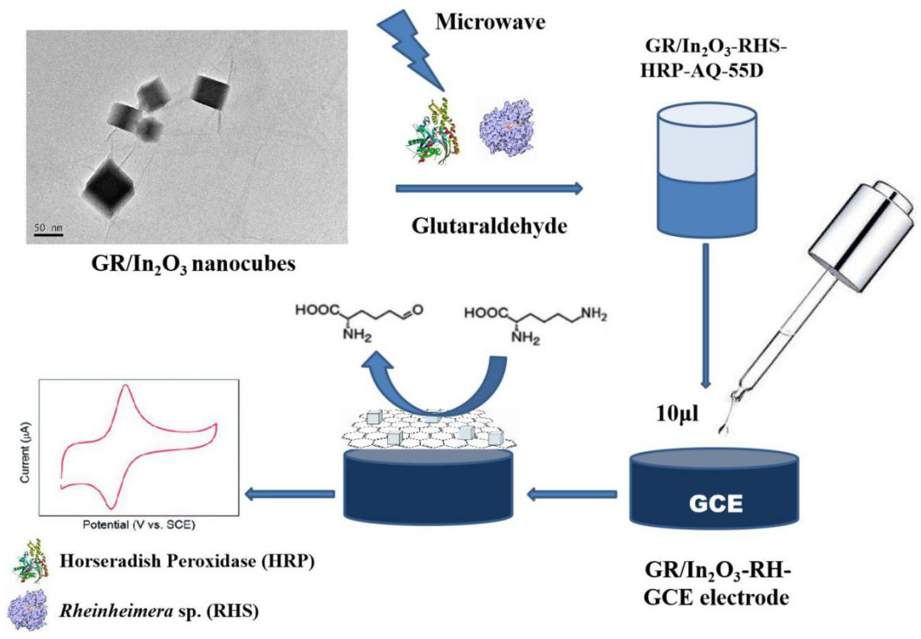 Materials 13 01999 sch002 Materials 13 01999 sch002