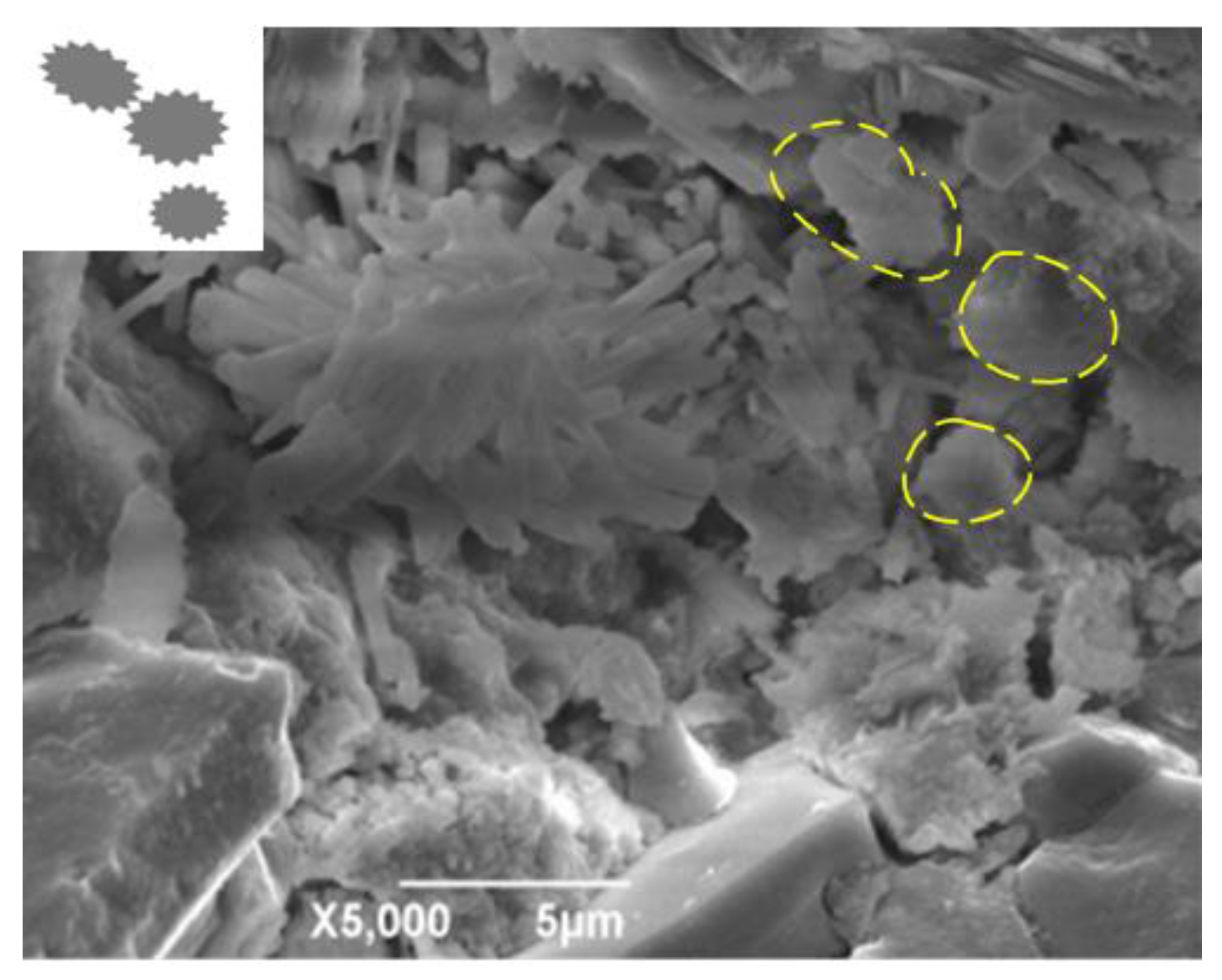Materials 13 02004 g010 Materials 13 02004 g010