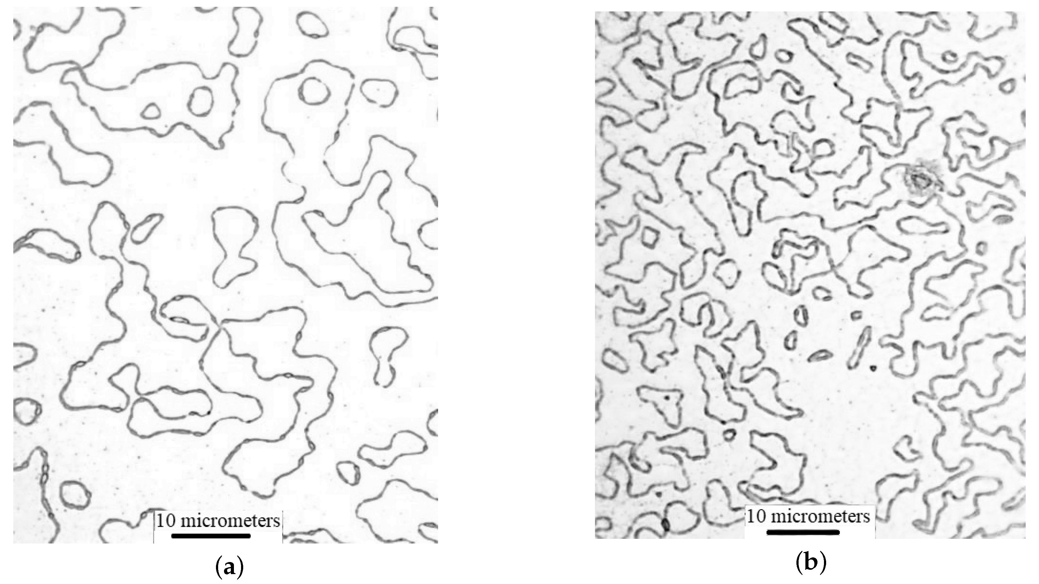 Materials 13 02010 g005 Materials 13 02010 g005